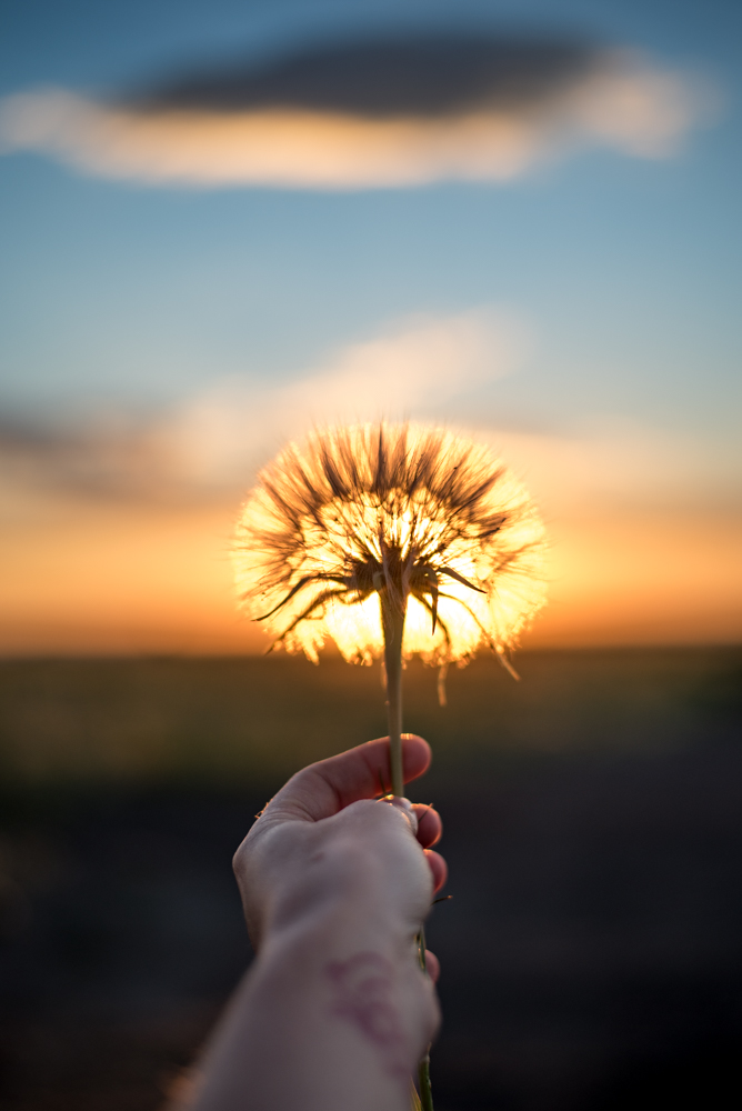 Making a wish for a productive summer and hoping to reach some serious goals.