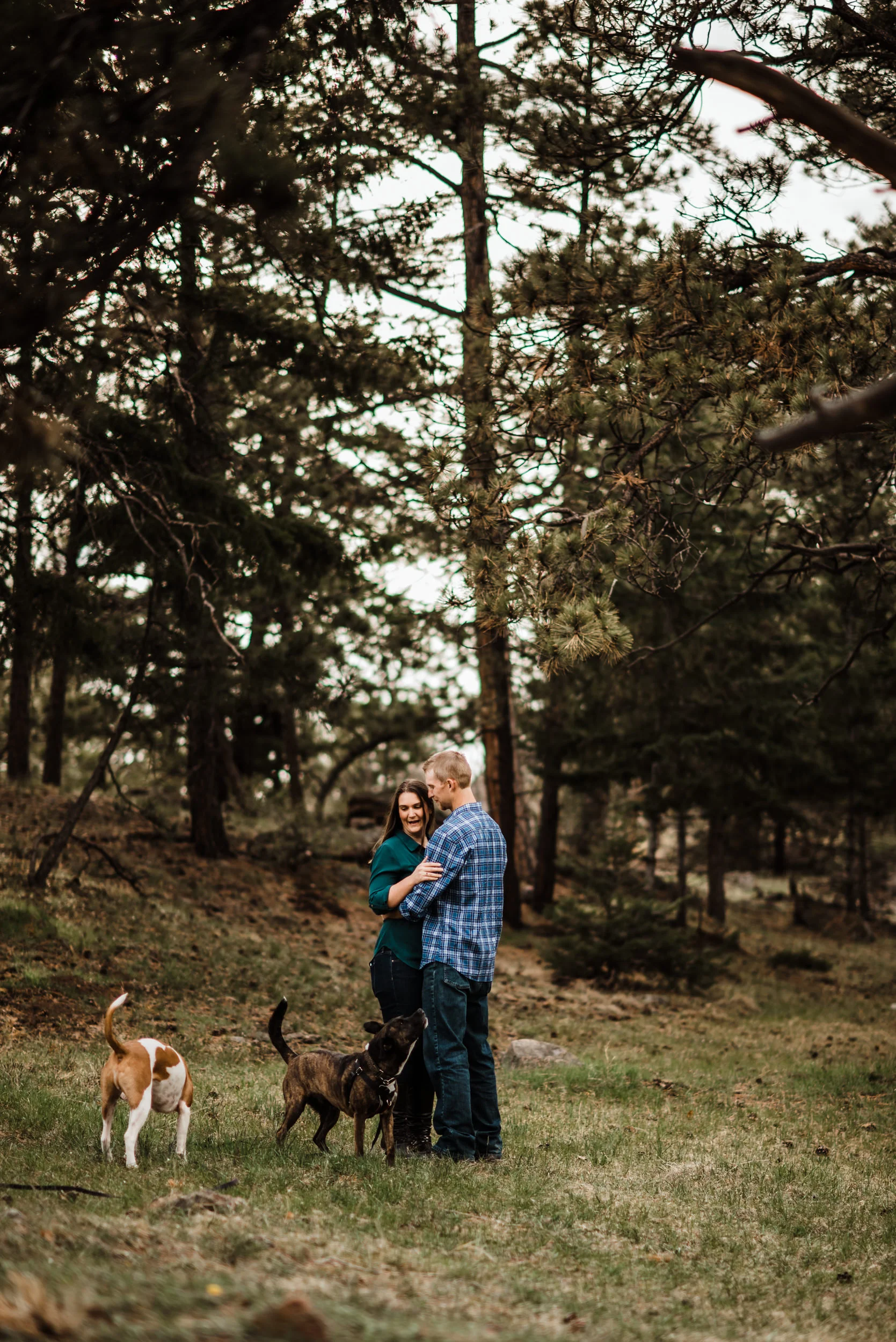 Engagement photos up at Mount Falcon in the Colorado Mountains.