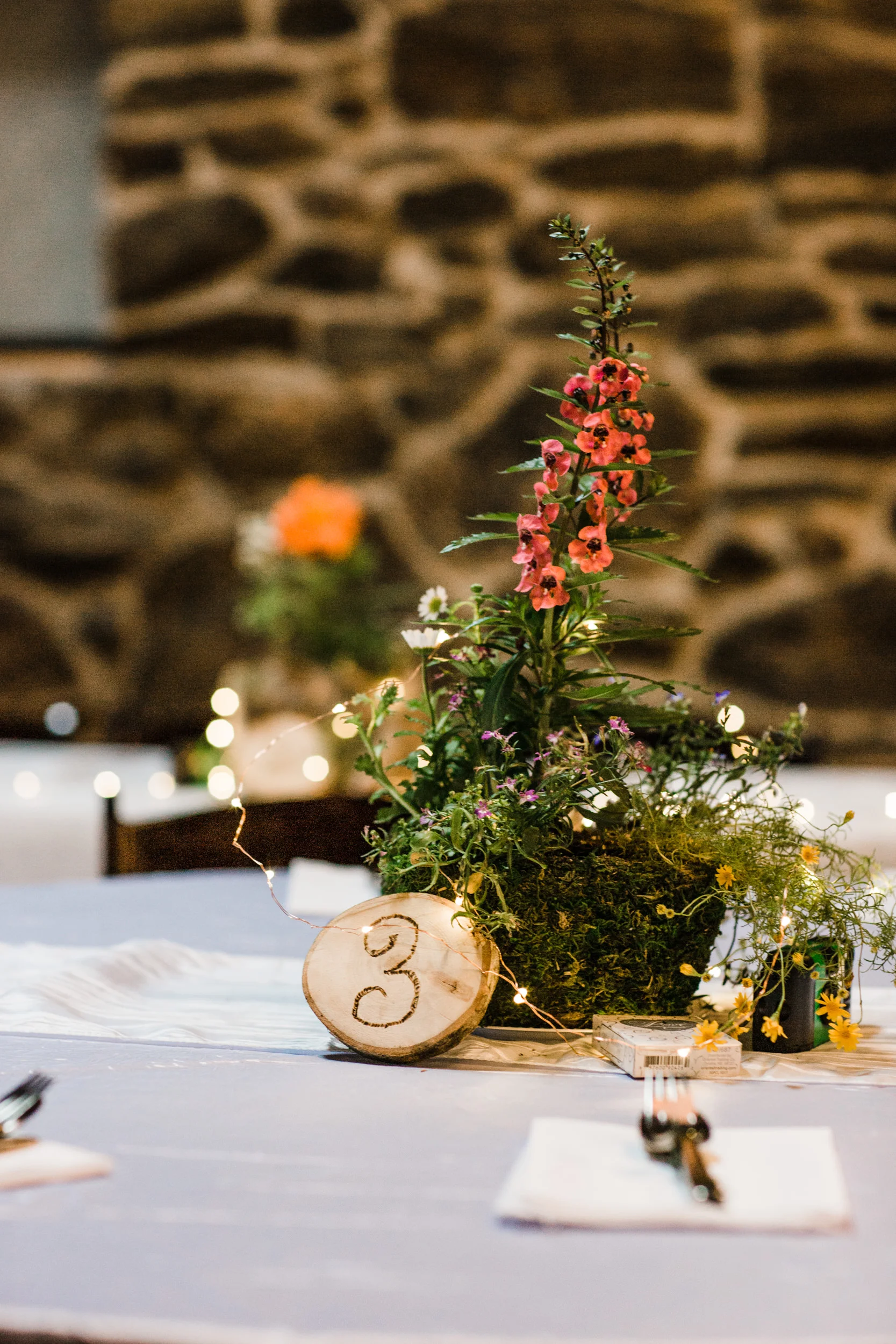 Colorado-mountain-wedding--121.jpg