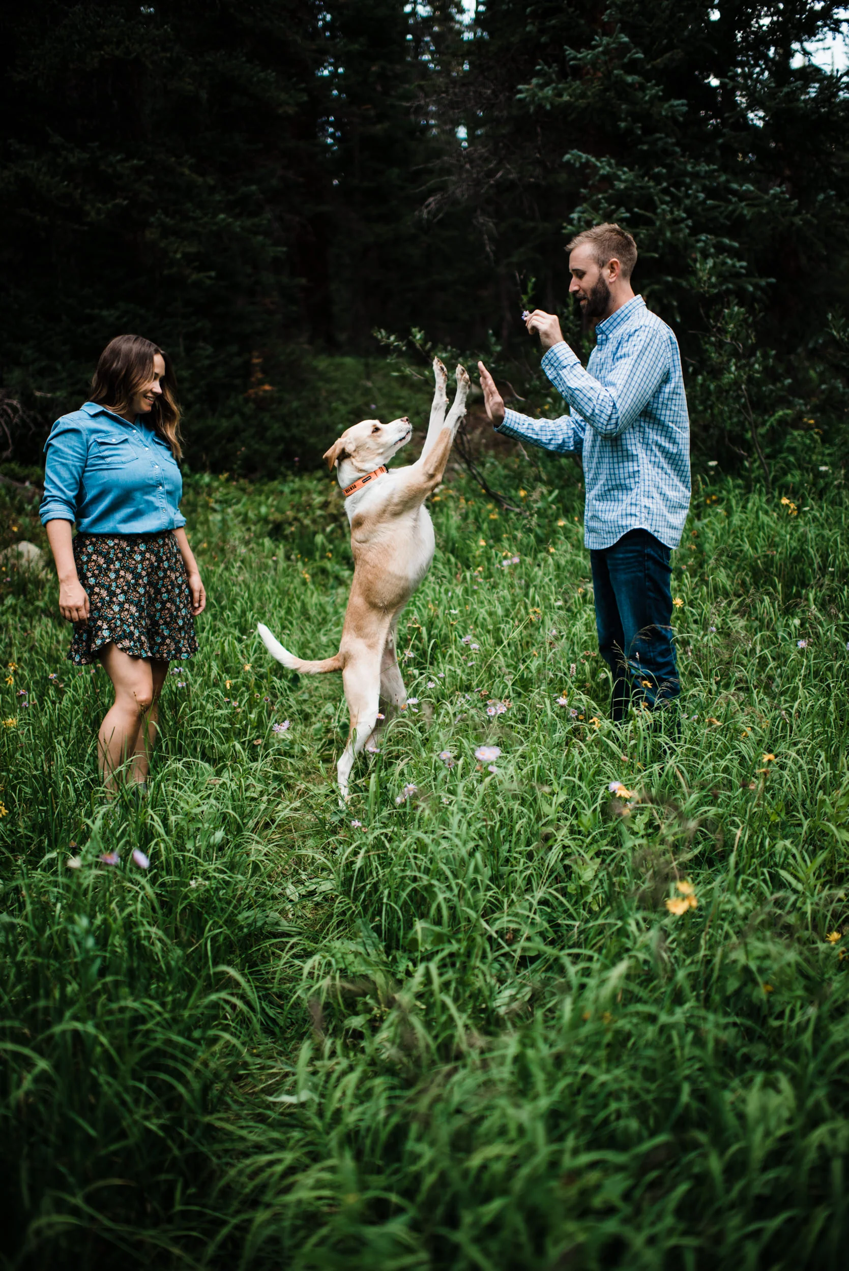 Indian Peaks-Brainard Lake-Colorado Engagement playing with dog Denver