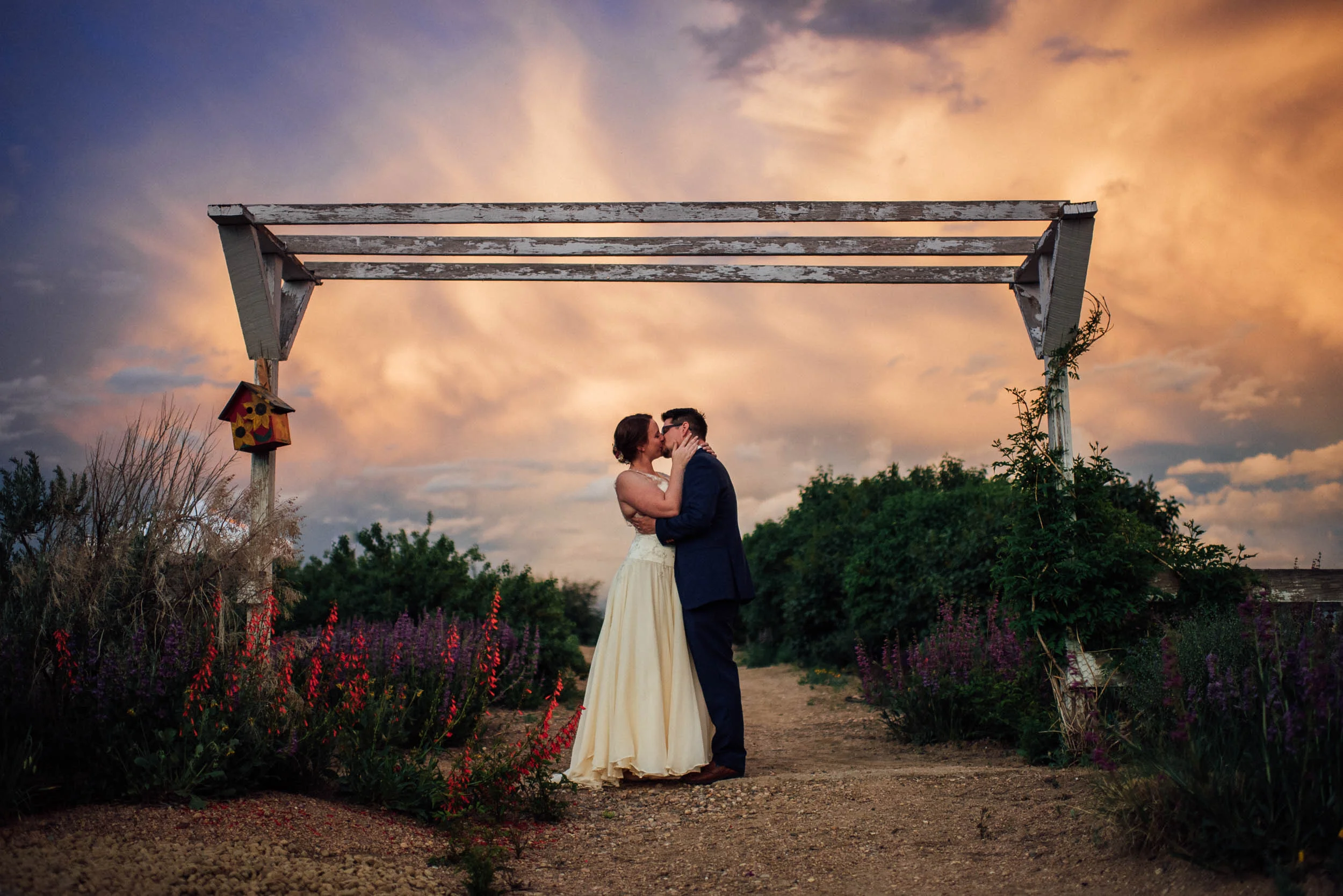 Julie and Will-3.jpg