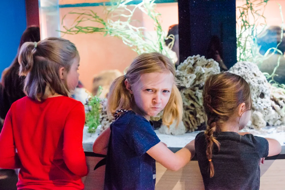 Have you ever heard of photography kids syndrome? I’m here to tell you it’s real.