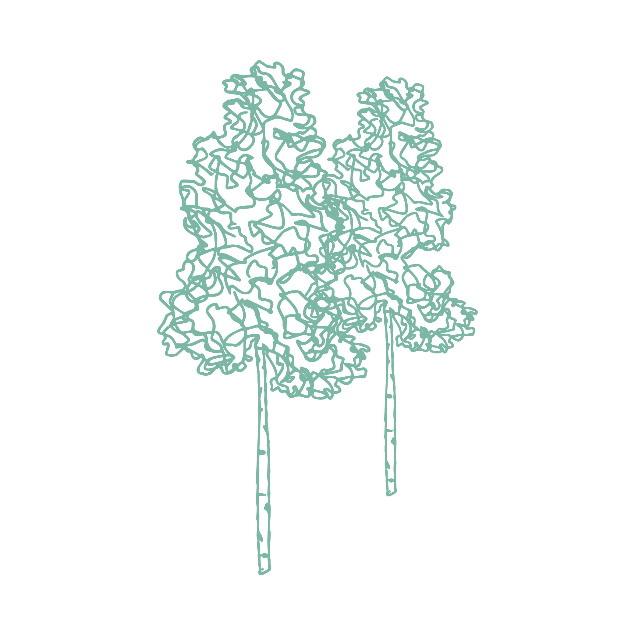 Tree-Mark— Sky.jpg