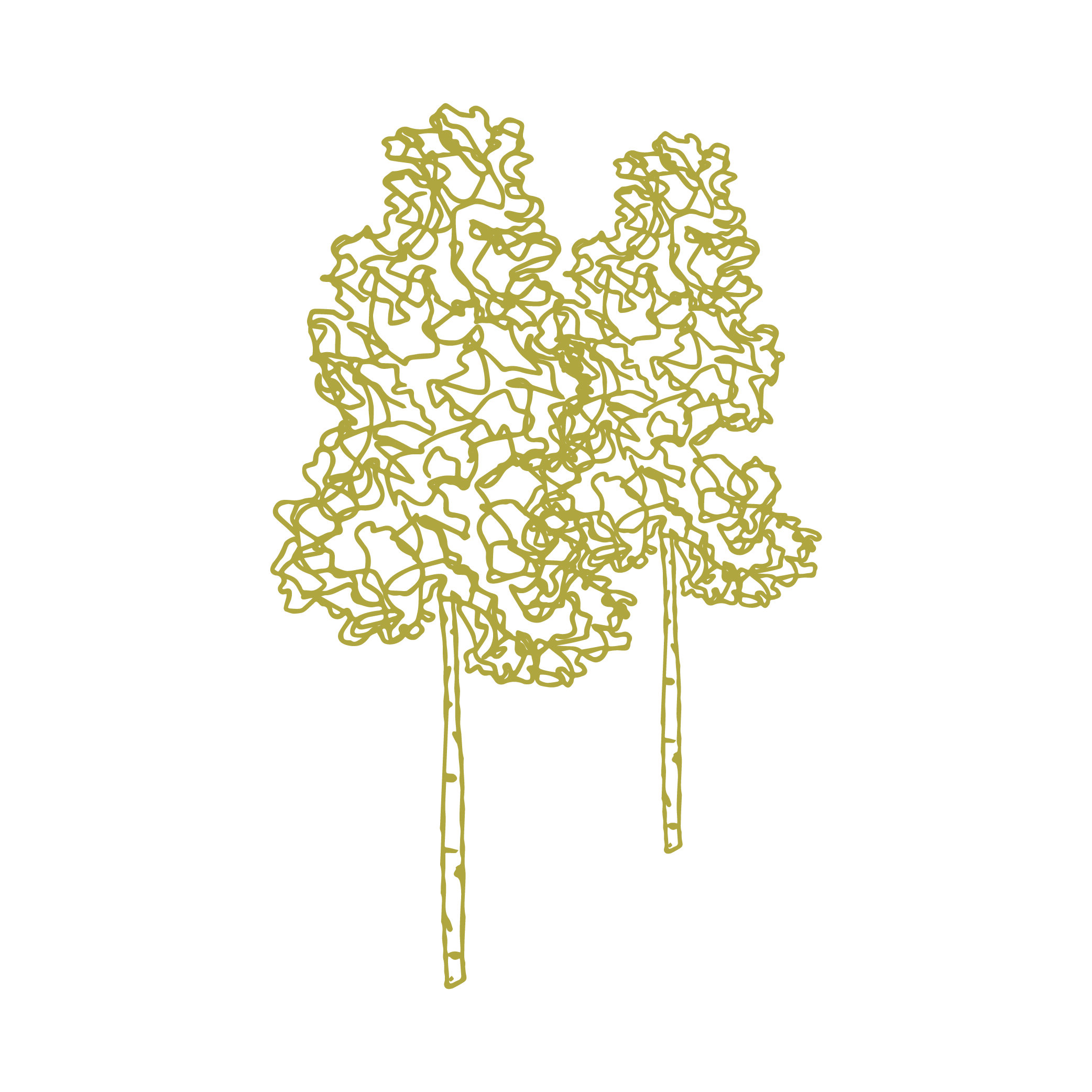 Tree-Mark— Sunflower.jpg