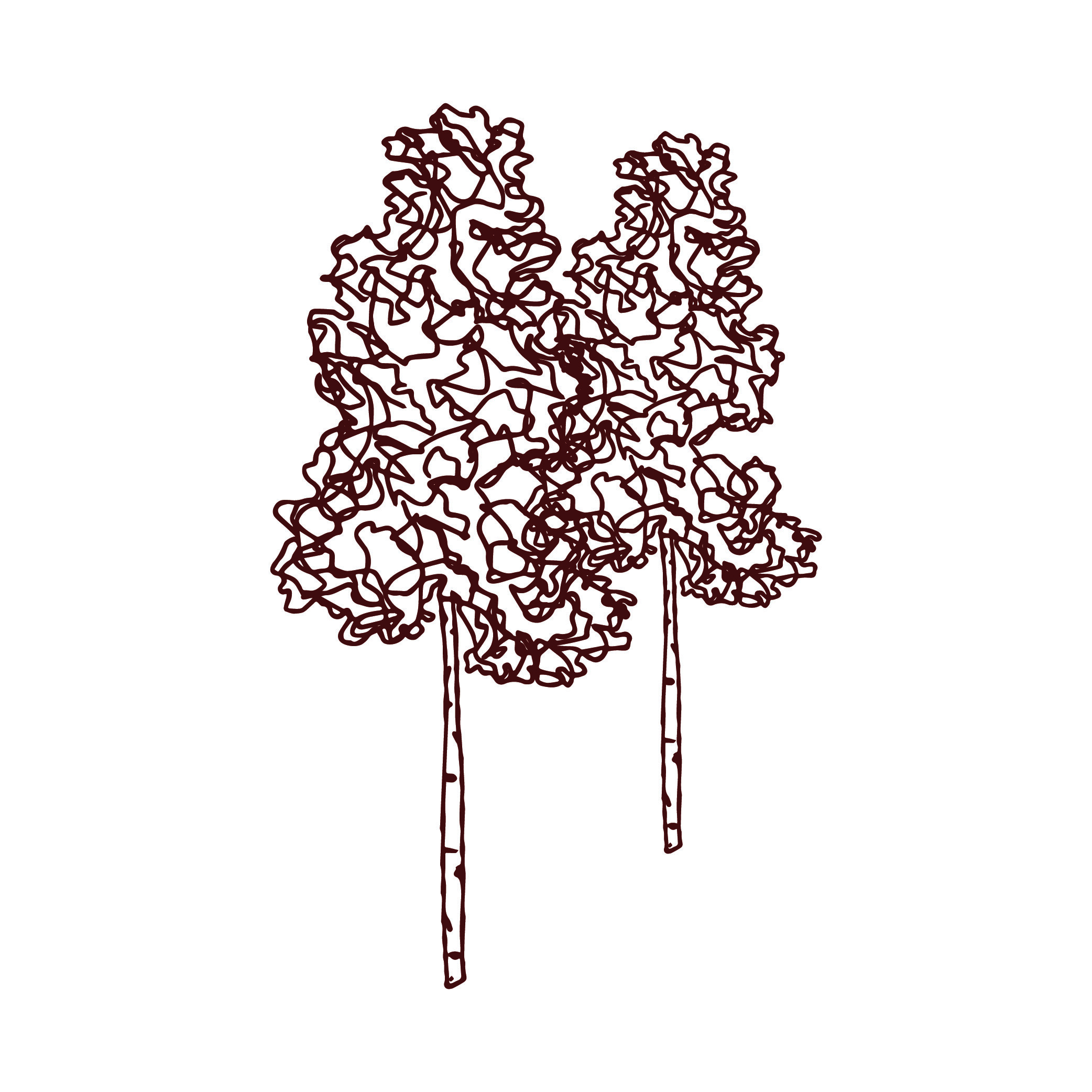 Tree-Mark— Wine.jpg