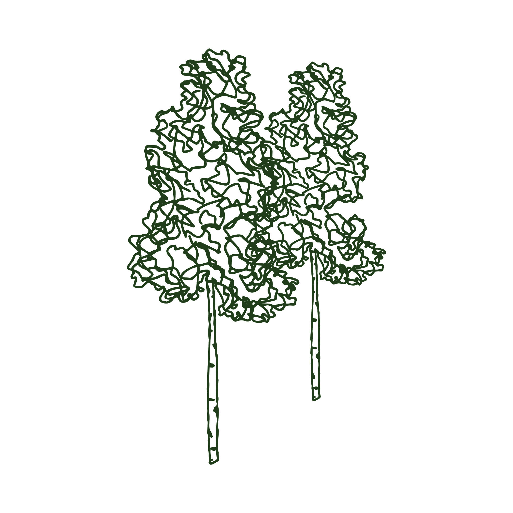 Tree-Mark— Aspen.jpg