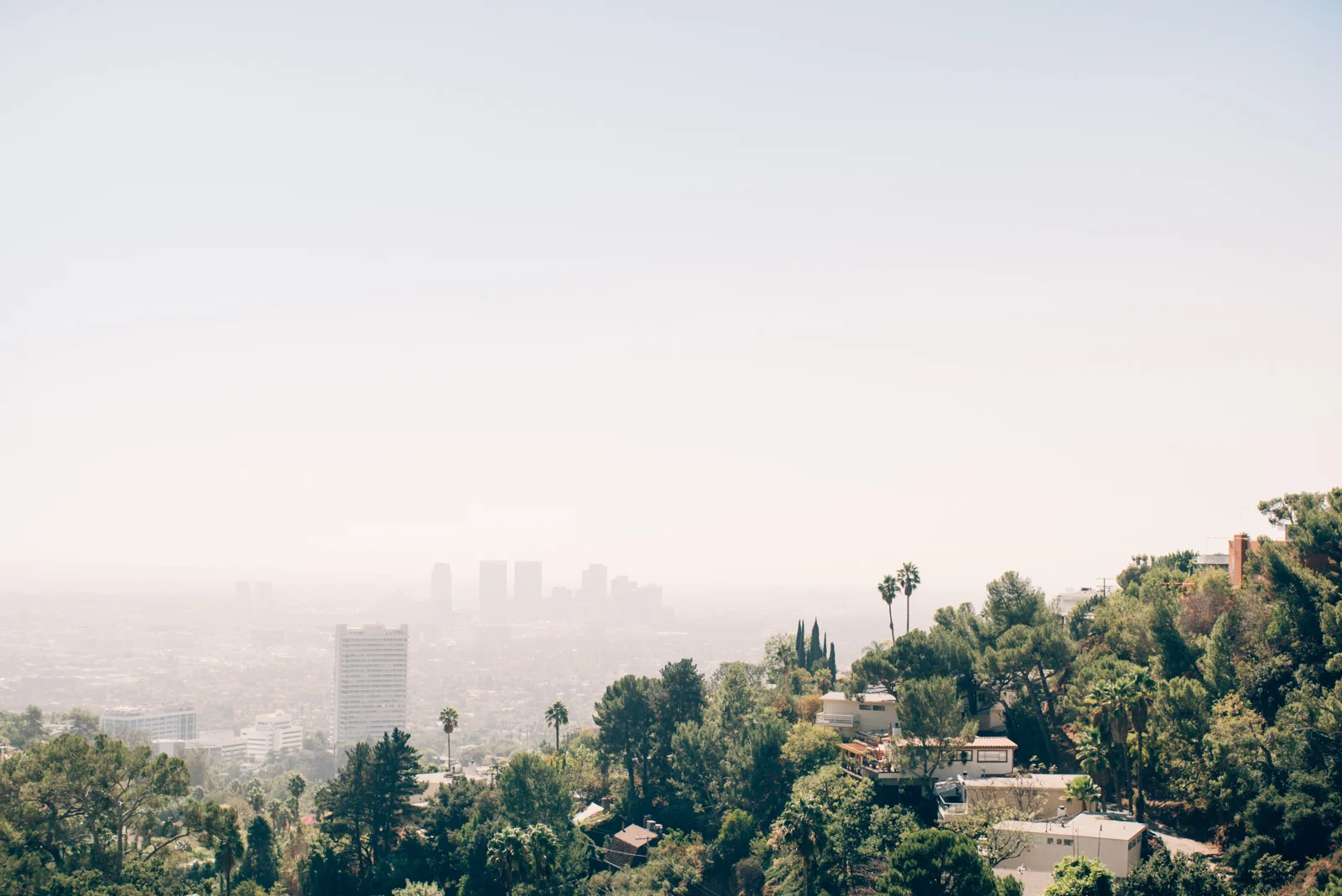 beverlyhills-4.jpg