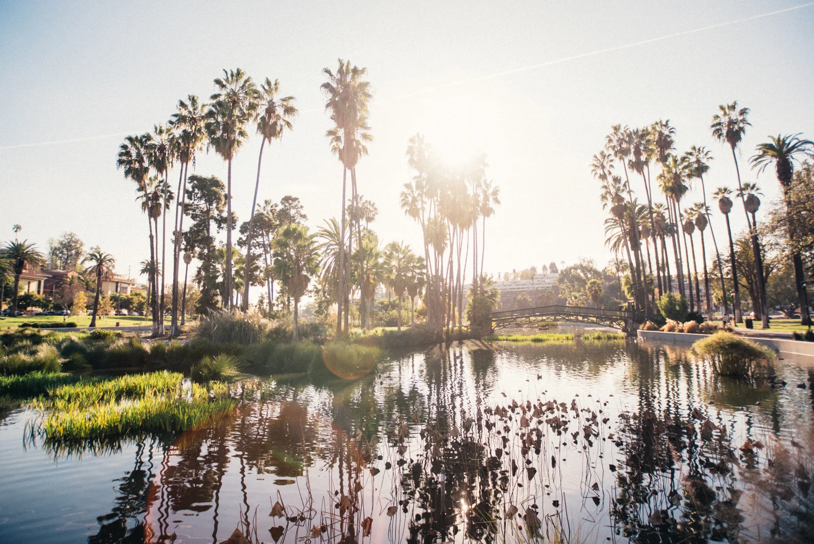 echopark-3.jpg
