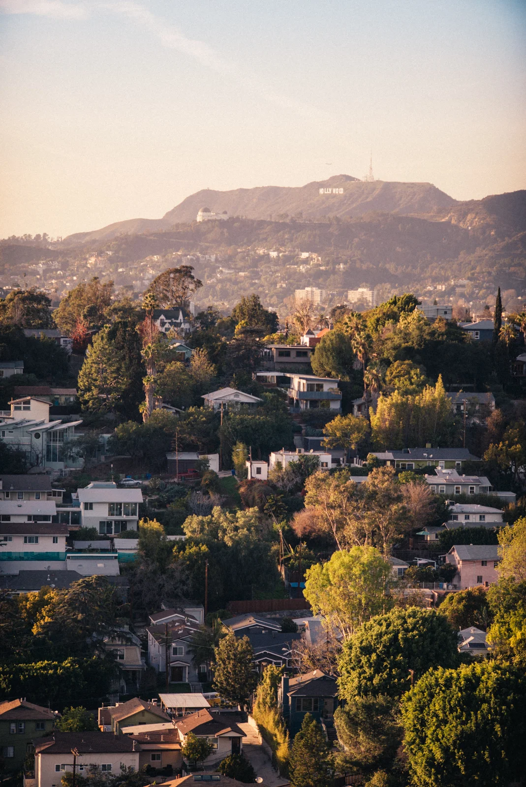 echopark-21.jpg