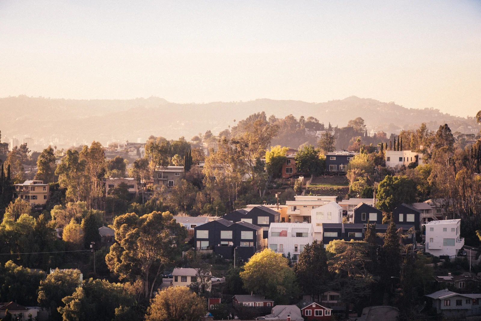 echopark-22.jpg