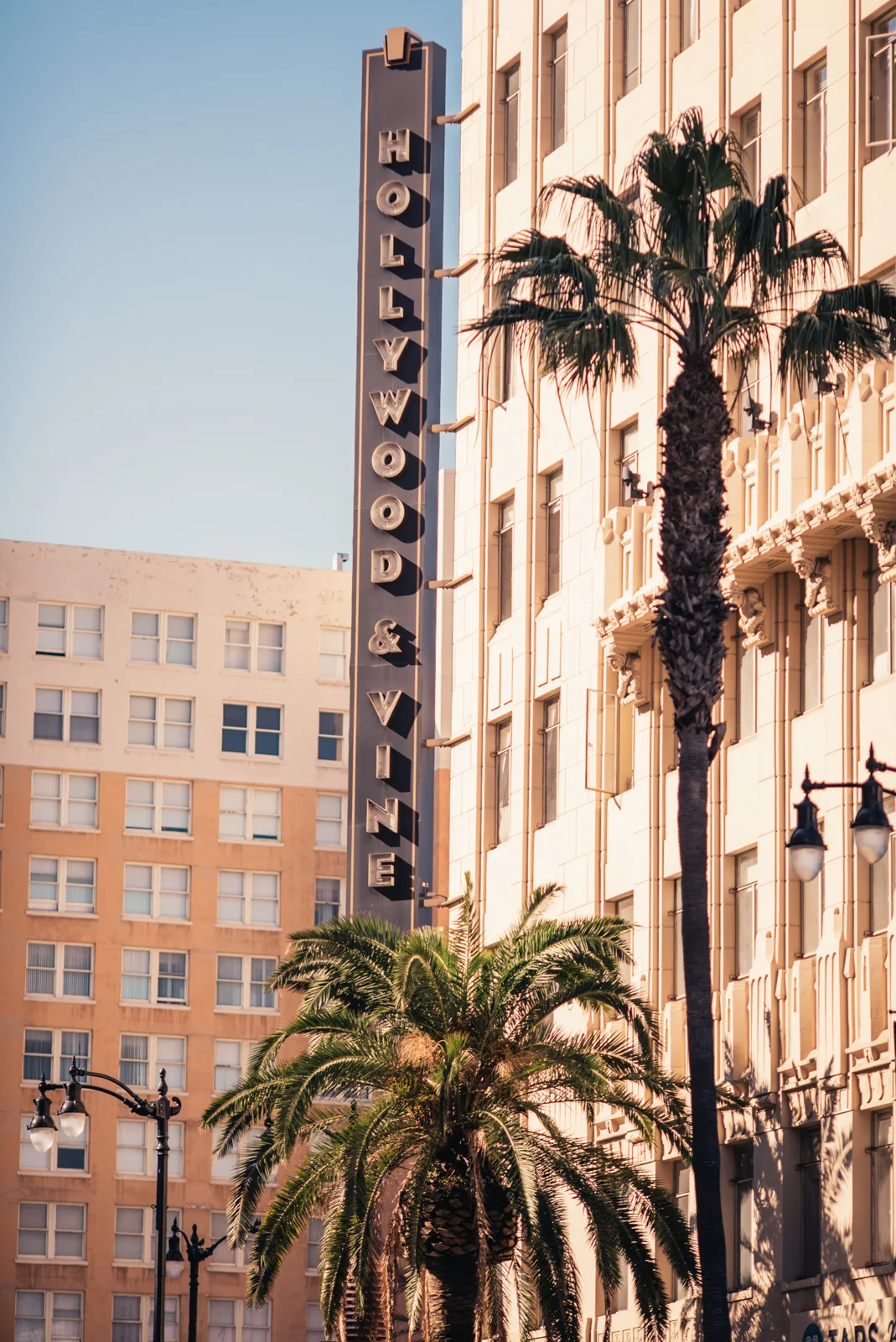 hollywood-14.jpg