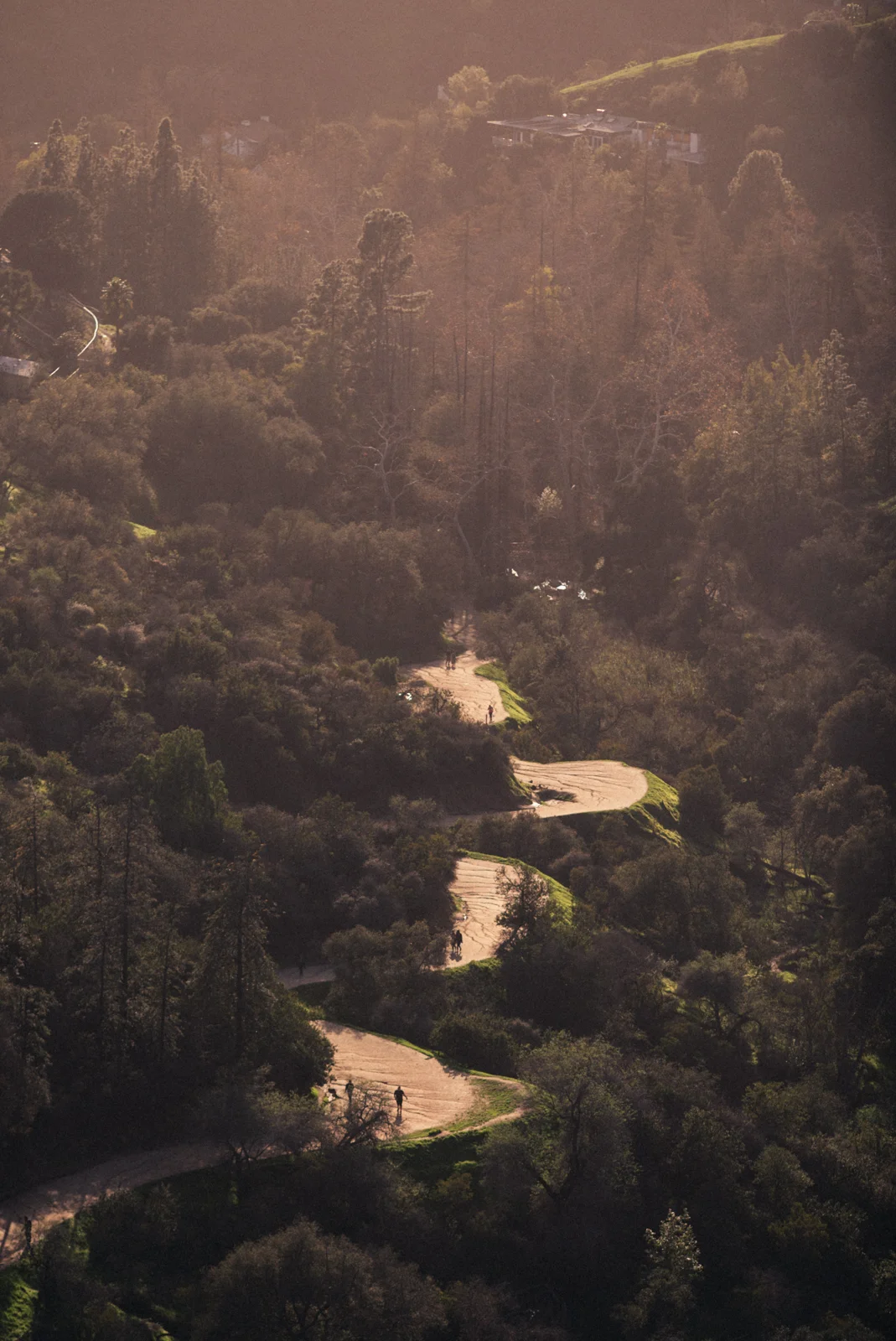 losfeliz-21.jpg