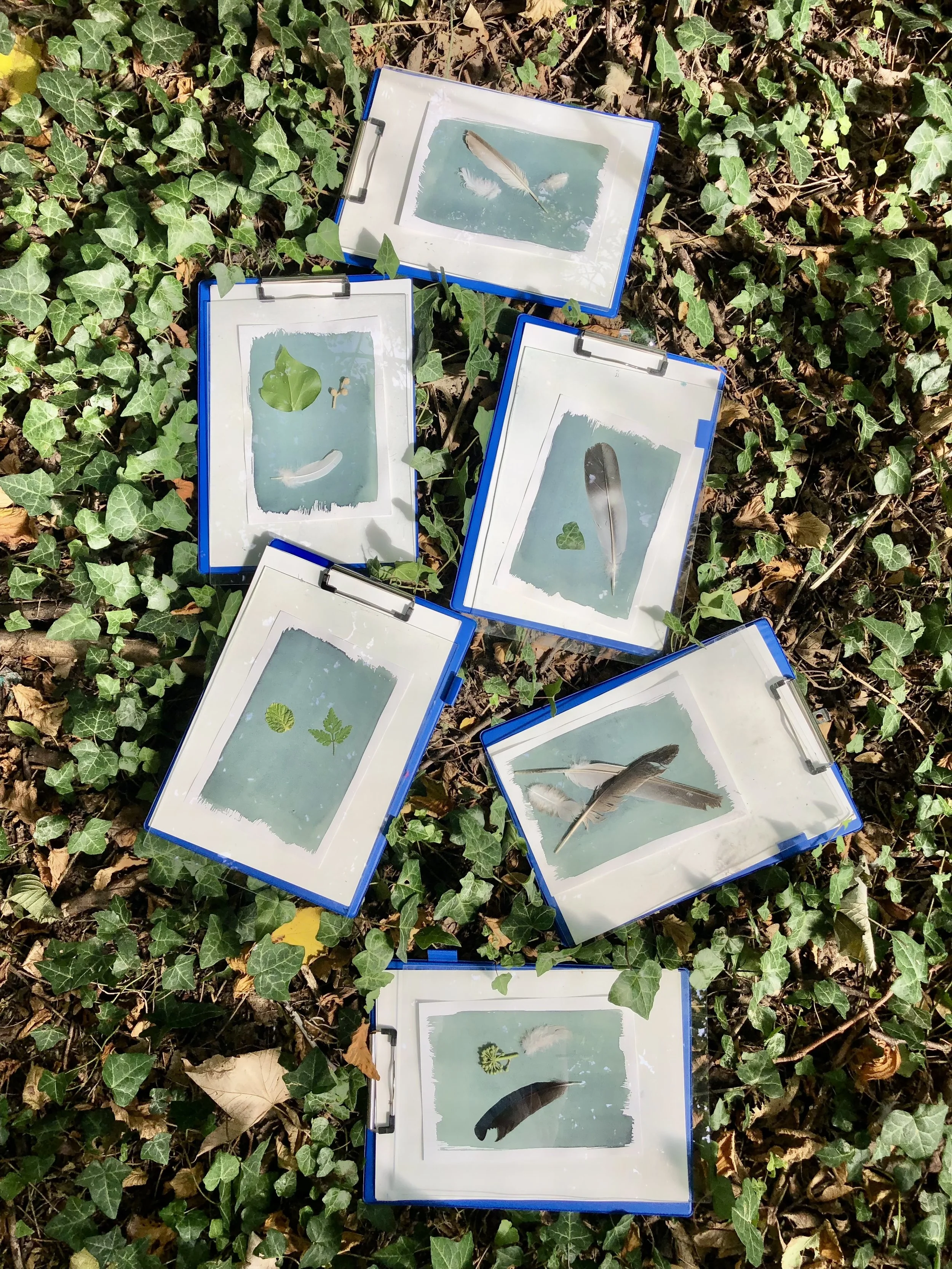 Cyanotpes - Making02.JPG
