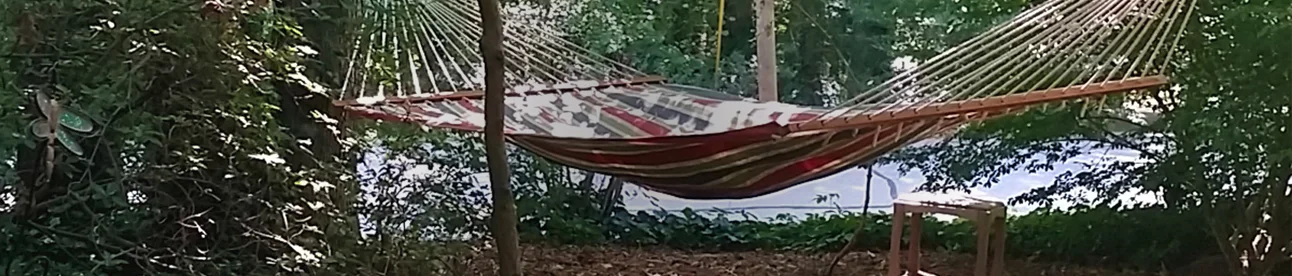 hammock in garden 1.jpg
