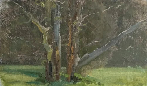 Sketch one. All mine, but he boosted the saturation in the trunks (reflected light) and added a couple of dark marks to the base of the trees. Mid-afternoon light from directly above (pretty much).
