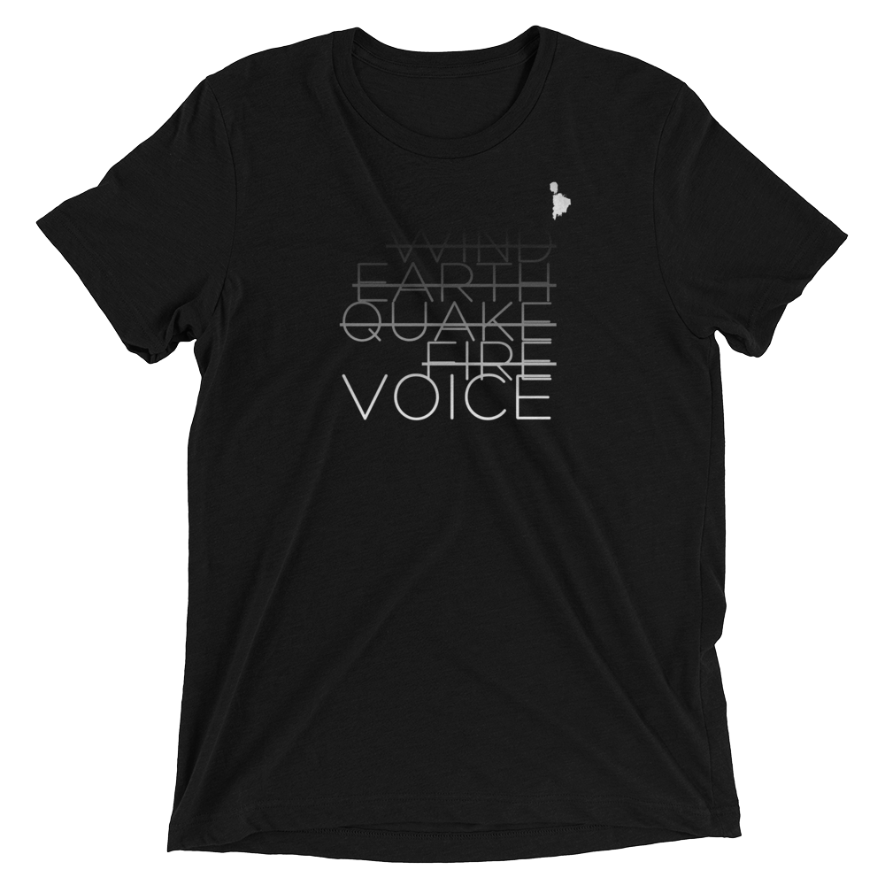 VOICECORRECT_mockup_Front_Flat_Solid-Black-Triblend.png