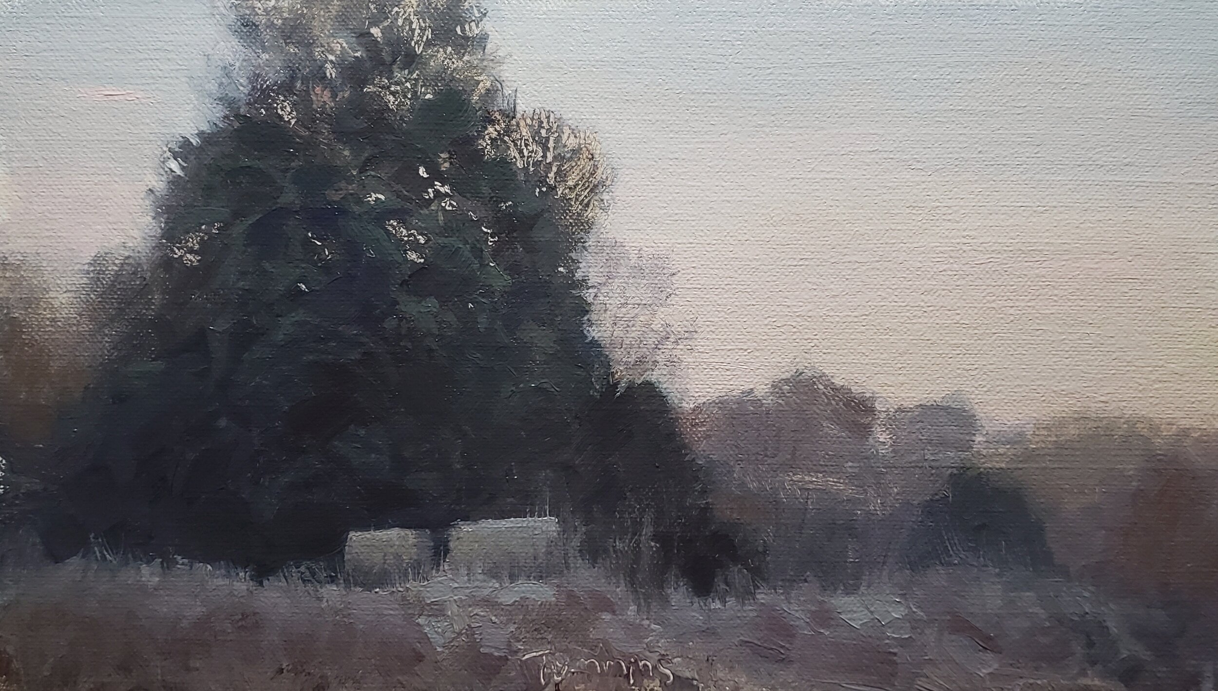 Morning, Roadside