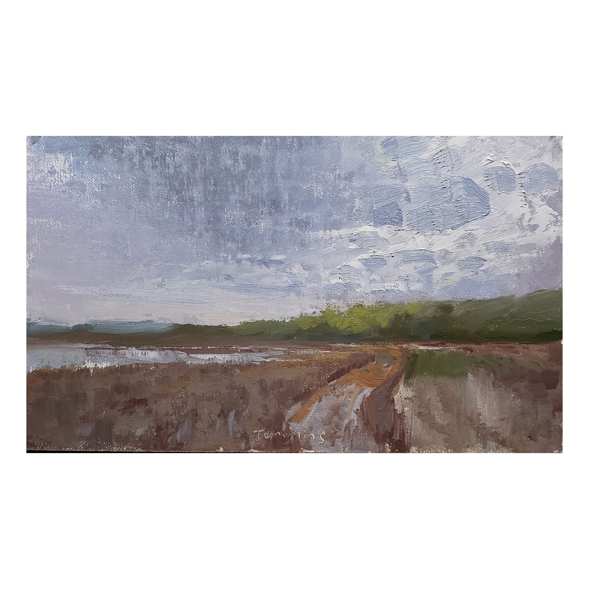 Duck River Refuge 6x10 study