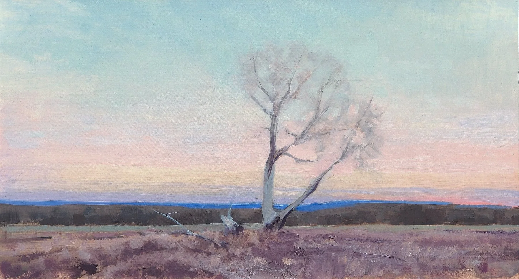 Tummins_Wyoming Study_Unframed.jpg