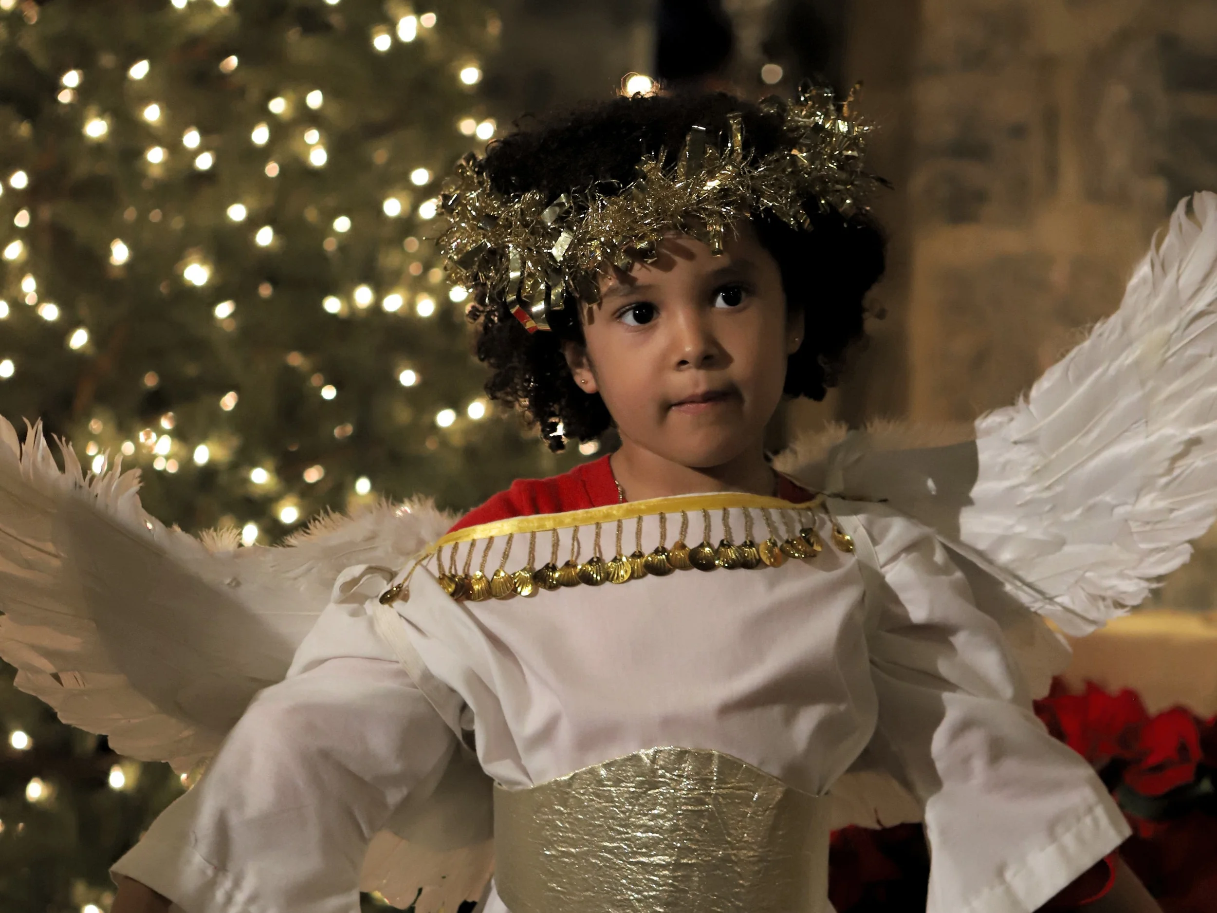 The Family Christmas Crèche Mass