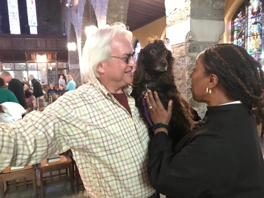 Blessing of the Animals - Feast of St. Francis