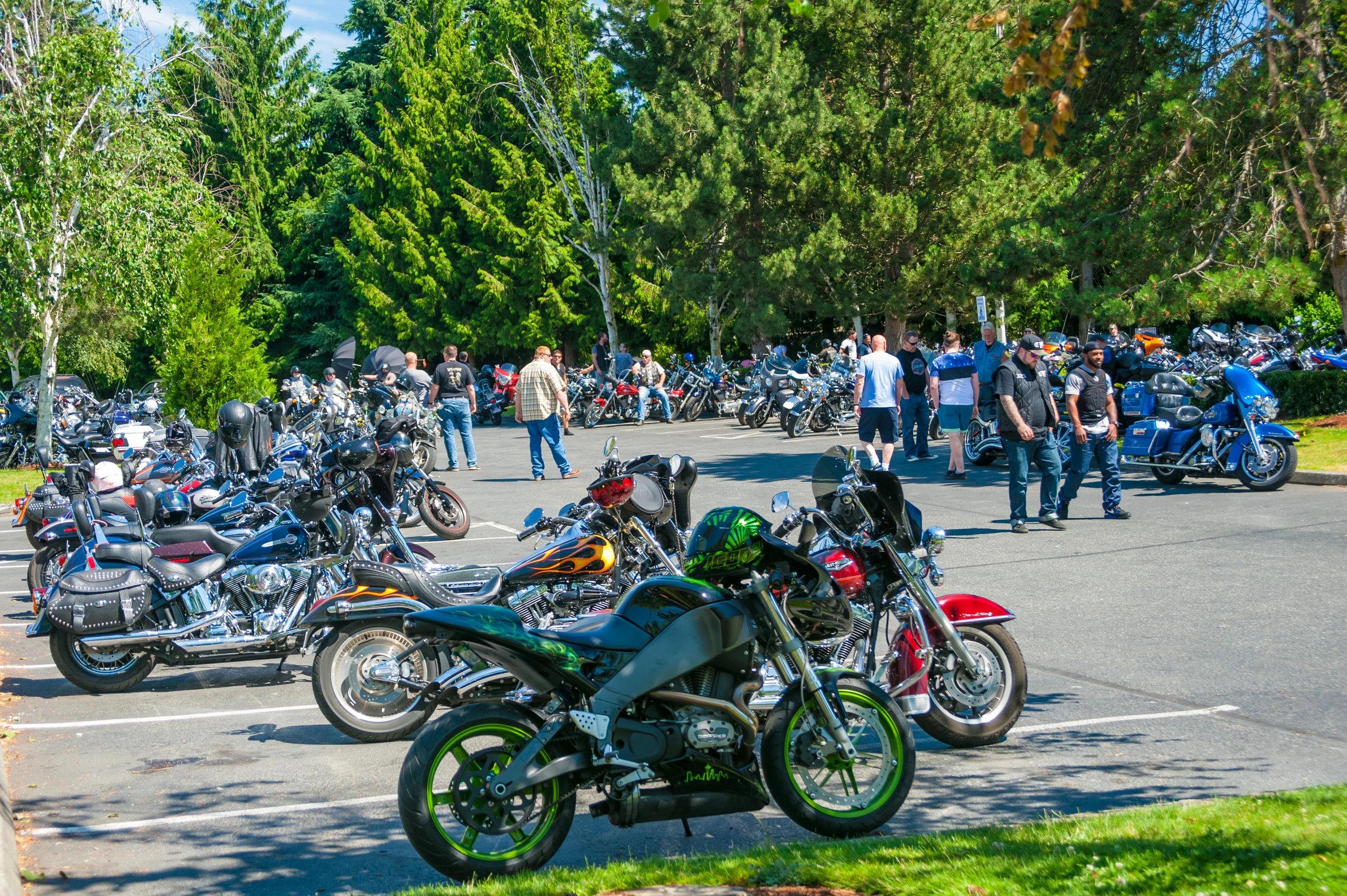 DSC_3879.jpg