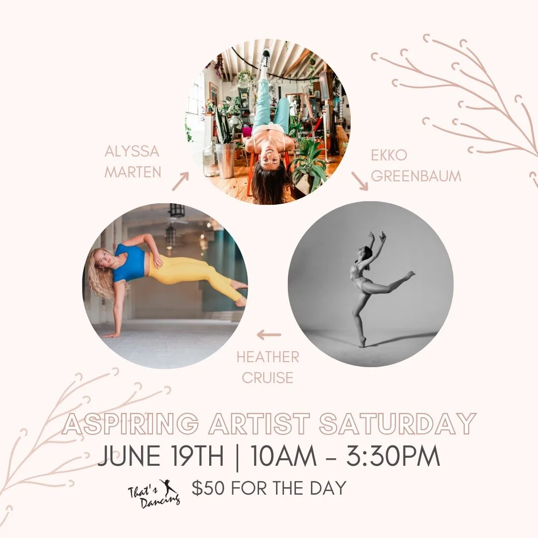 Aspiring Artist Saturday Series 