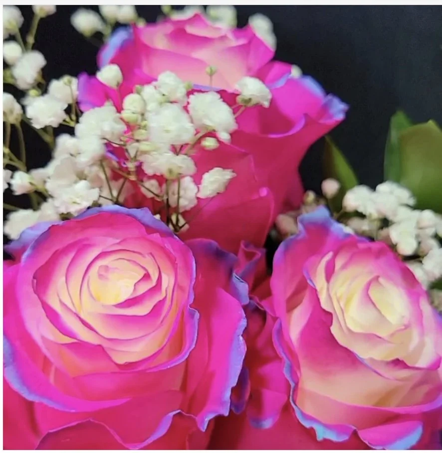 Image 5-27-25 at 3.00 PM.jpg