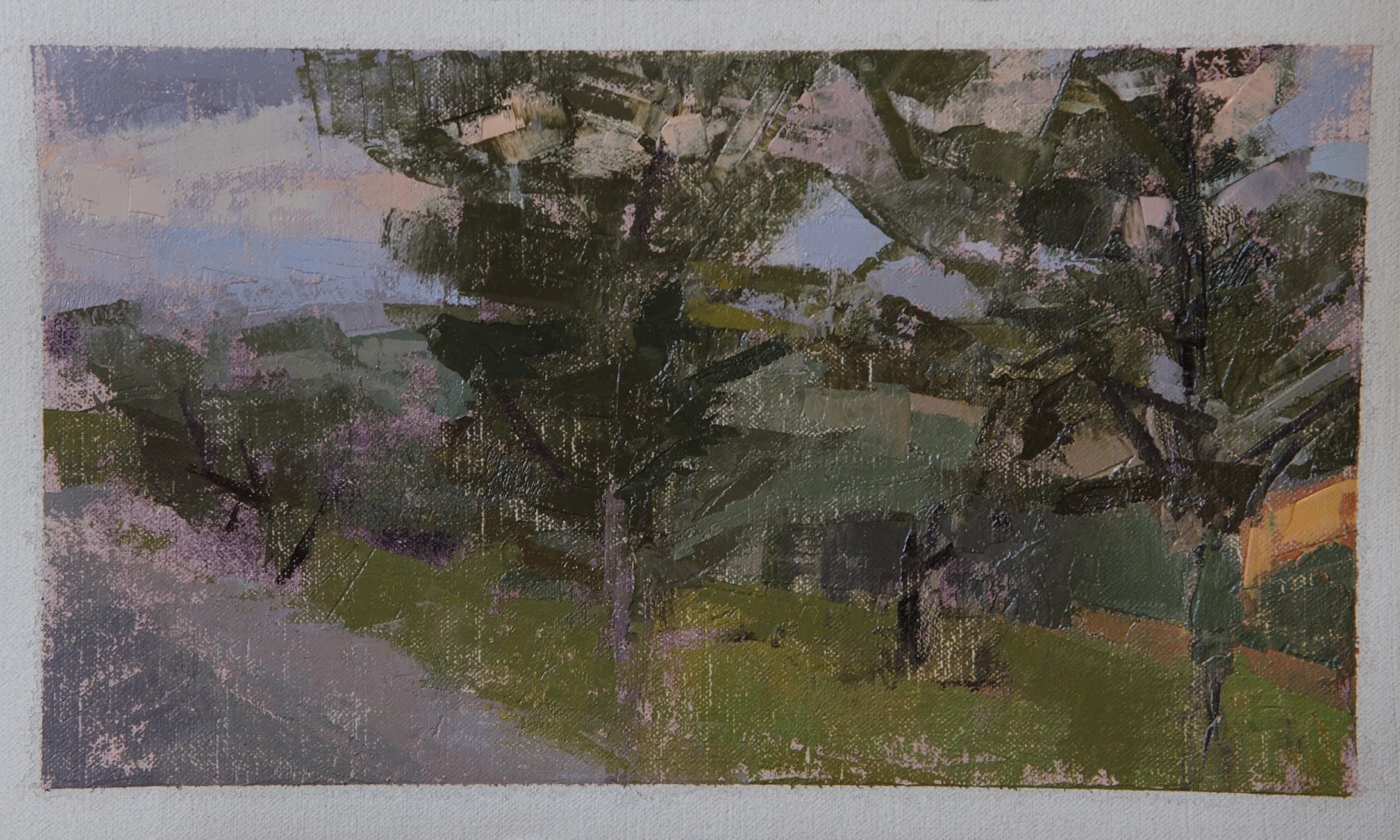 Olive Grove