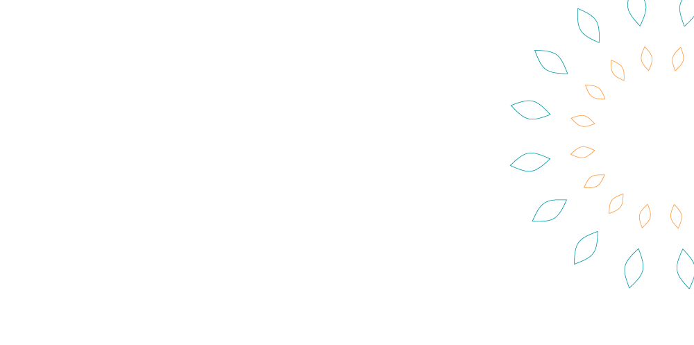 HalfOnOutlineBanner3-01.png
