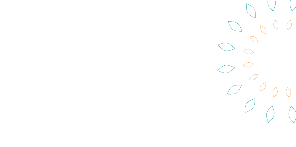HalfOnOutlineBanner3-01.png