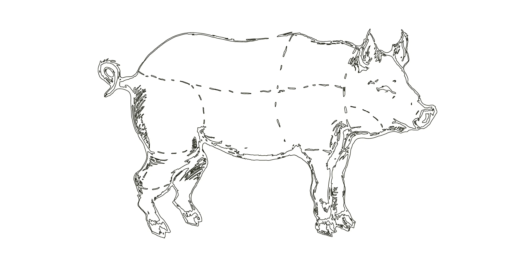 pig.jpg
