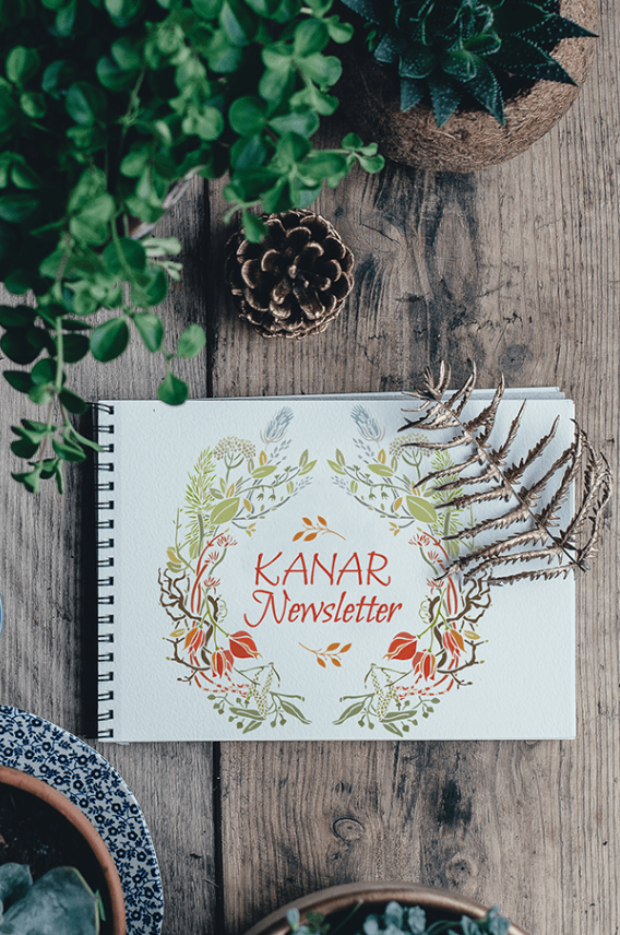 Kanar Newsletter.png