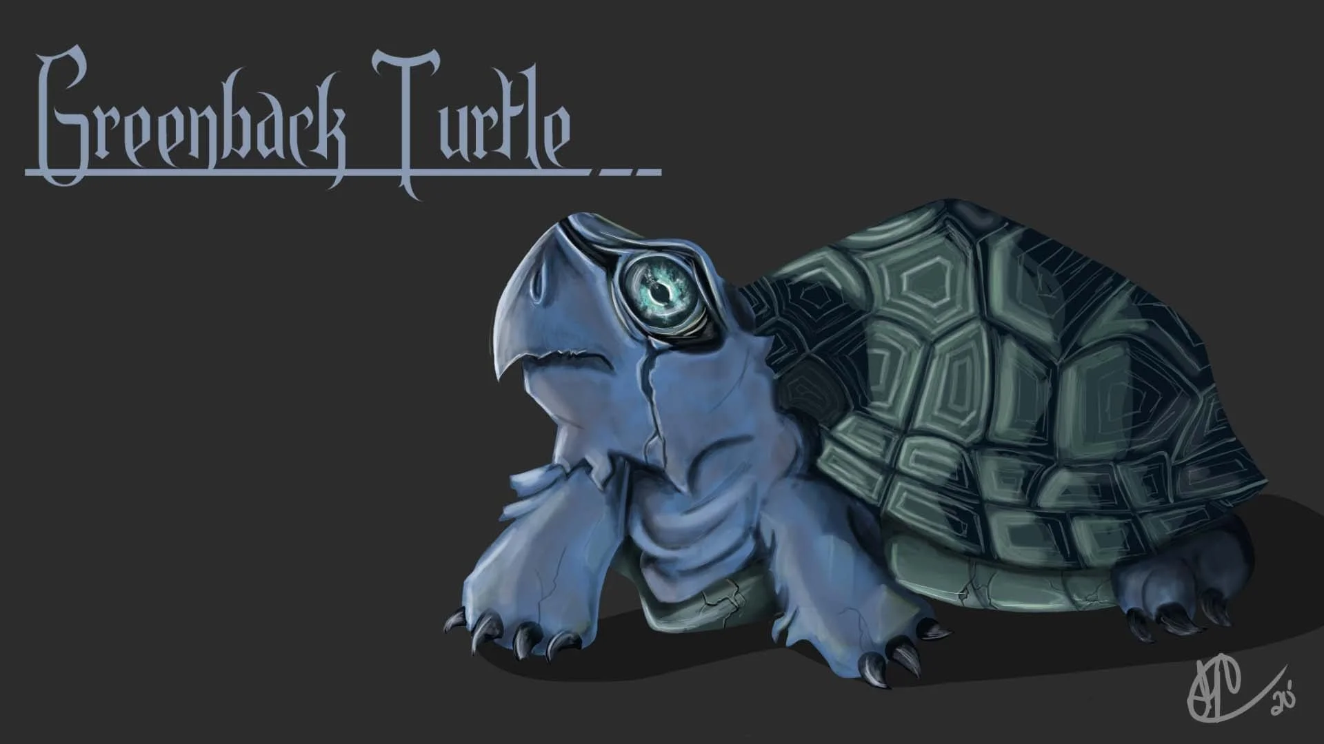 GreenBack_Turtle.jpeg