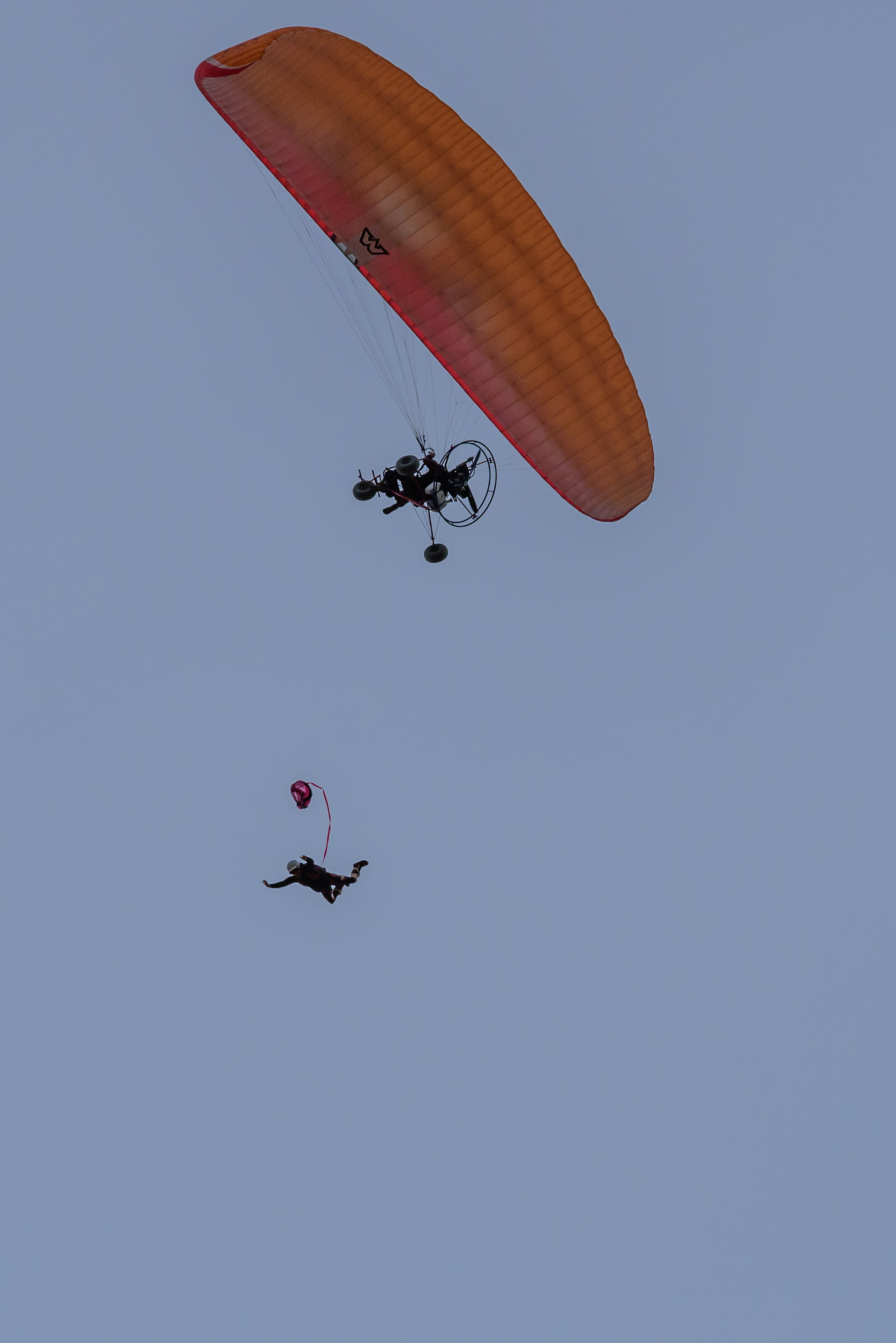 Paramotor Skydives