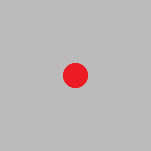 One can’t help but look at the circle.