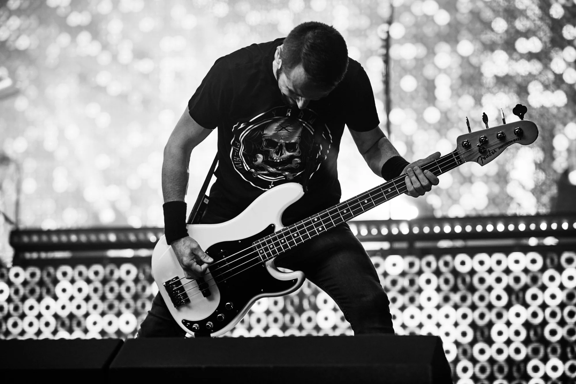 gojira-15 1.jpg
