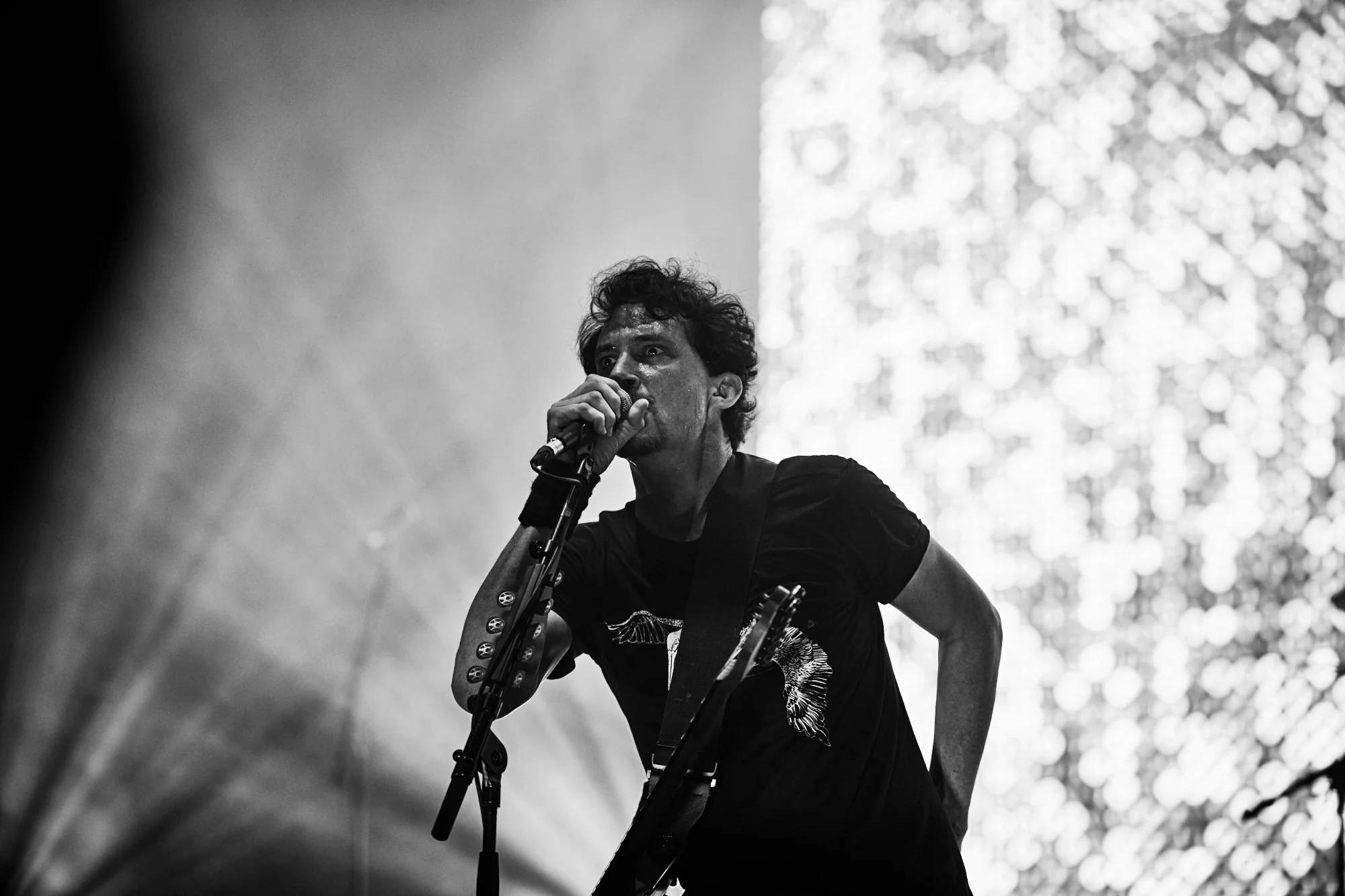 gojira-22.jpg
