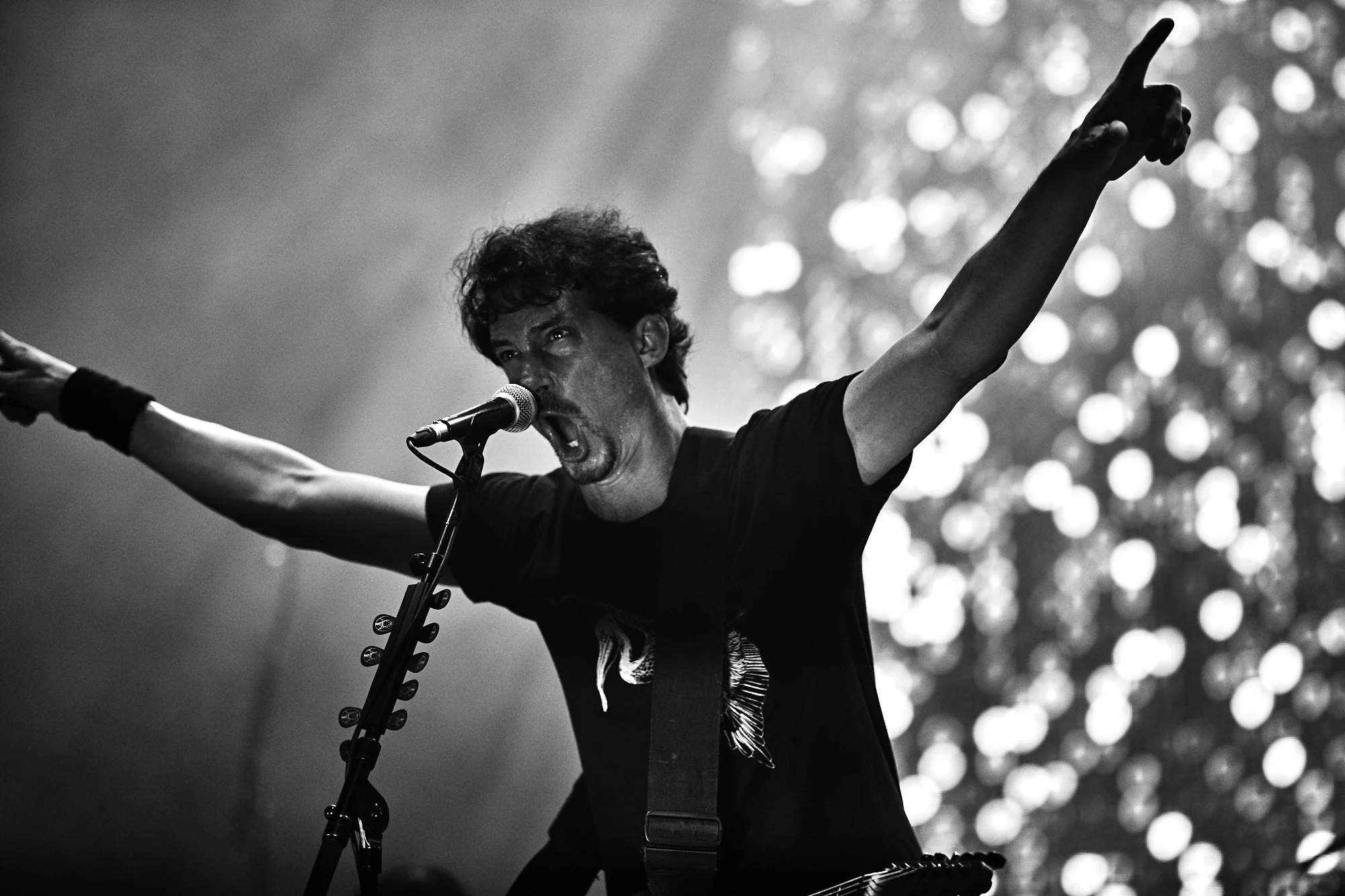 gojira-24.jpg