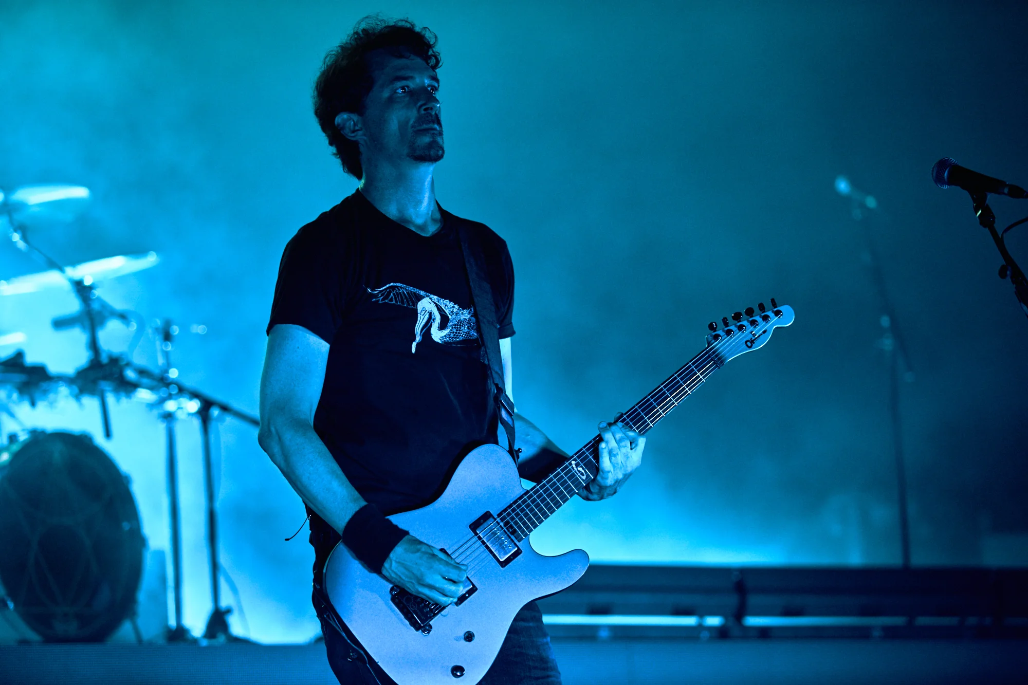 gojira-35.jpg