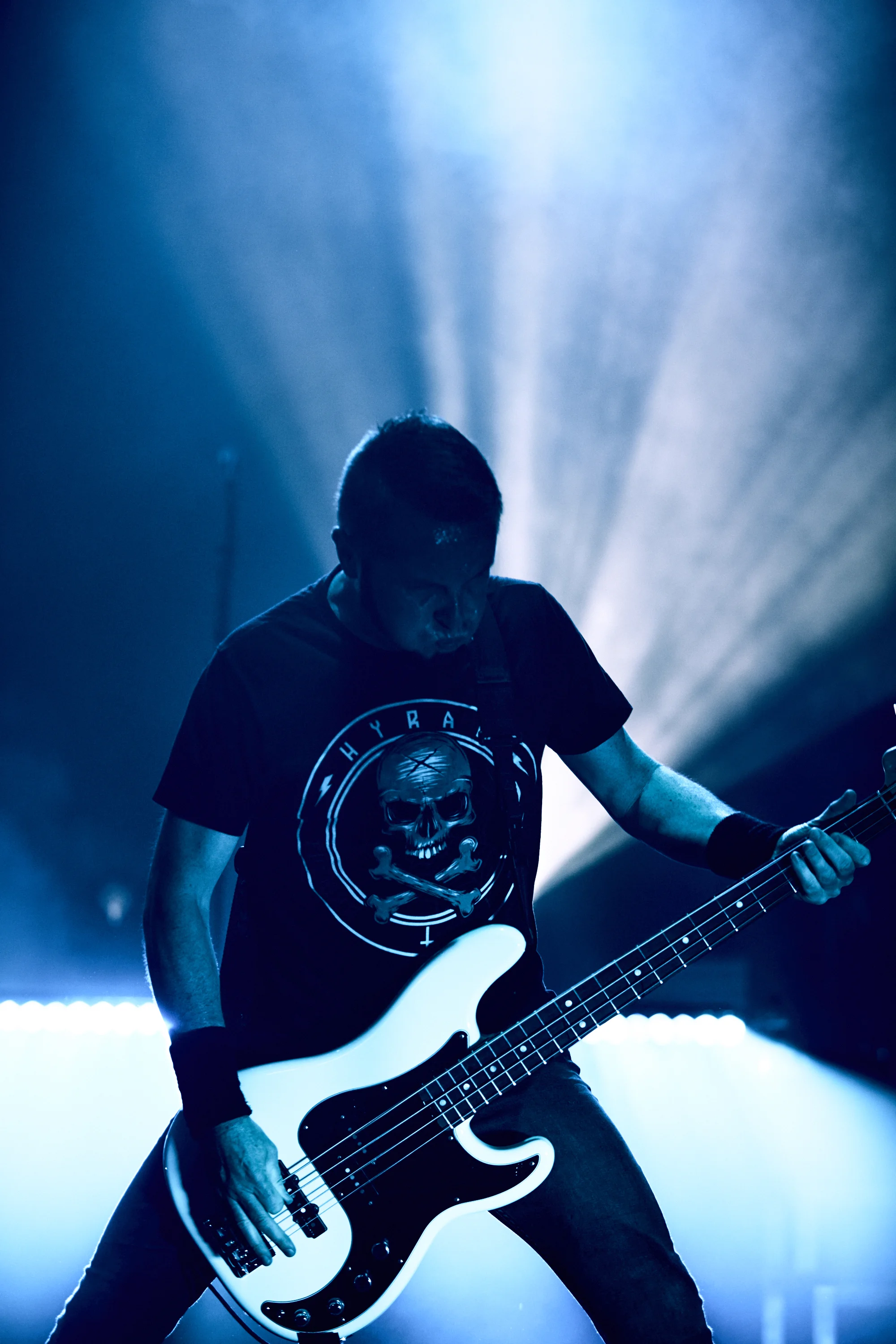 gojira-41.jpg