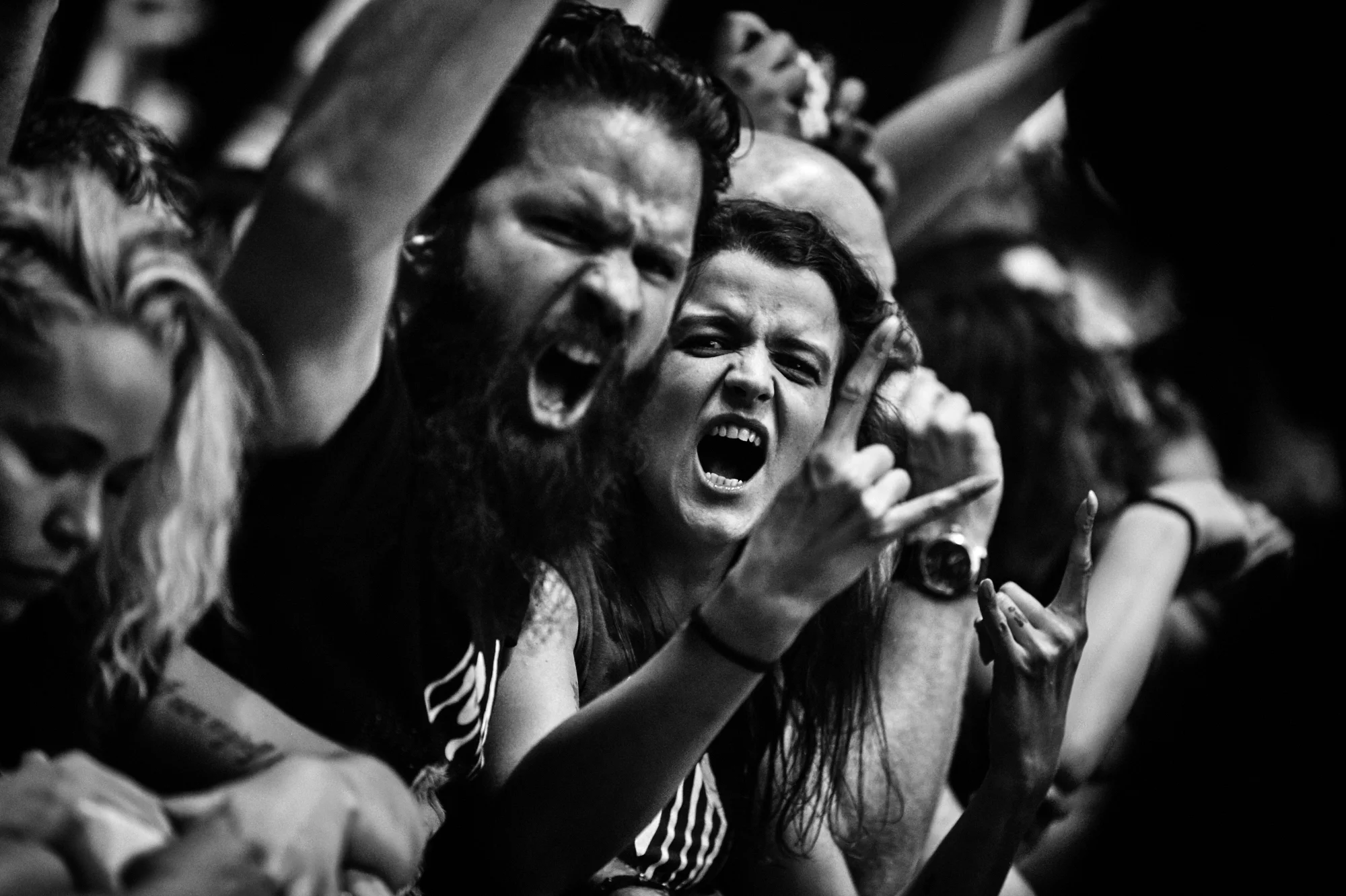 gojira-46.jpg