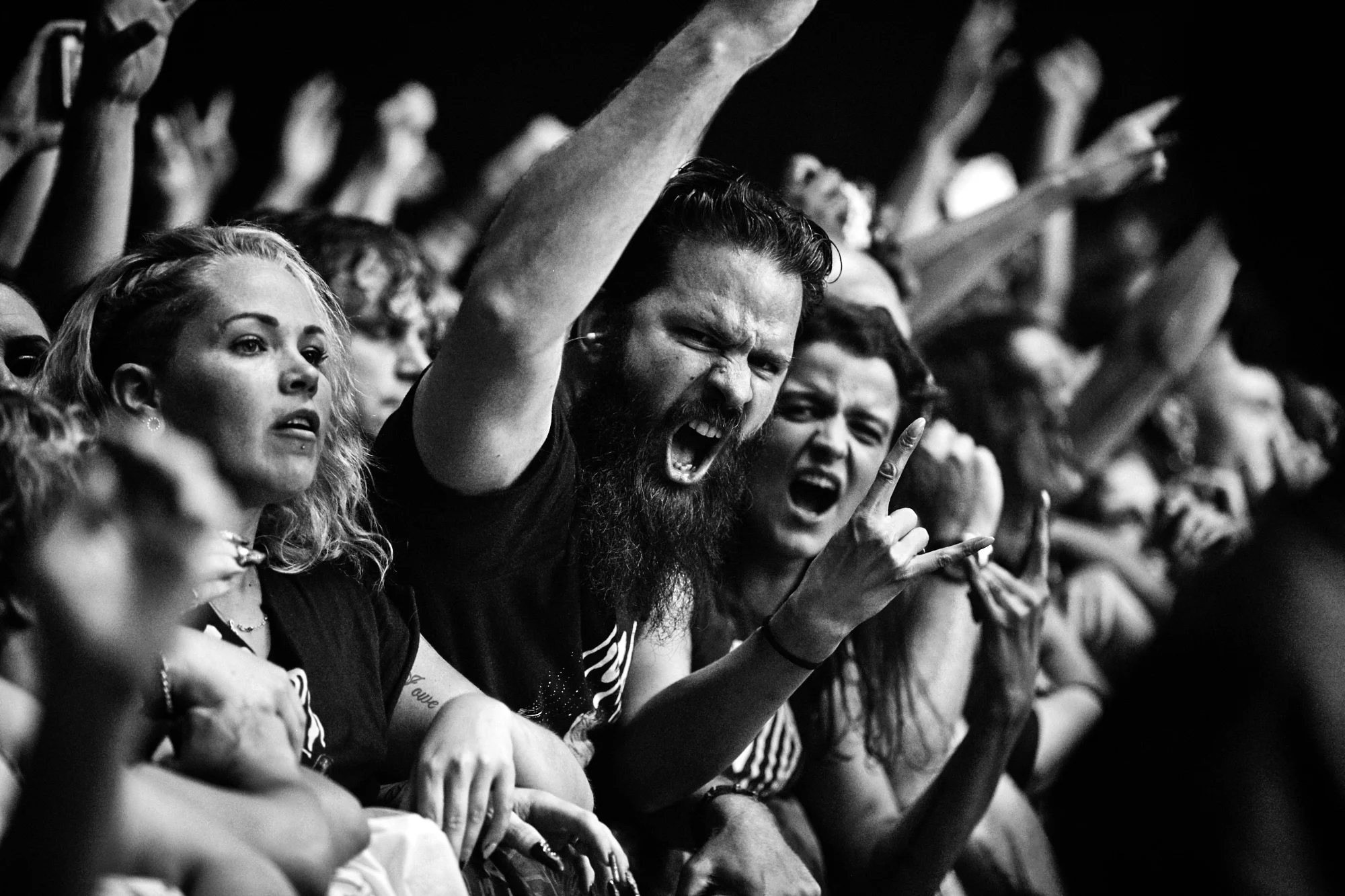 gojira-47.jpg