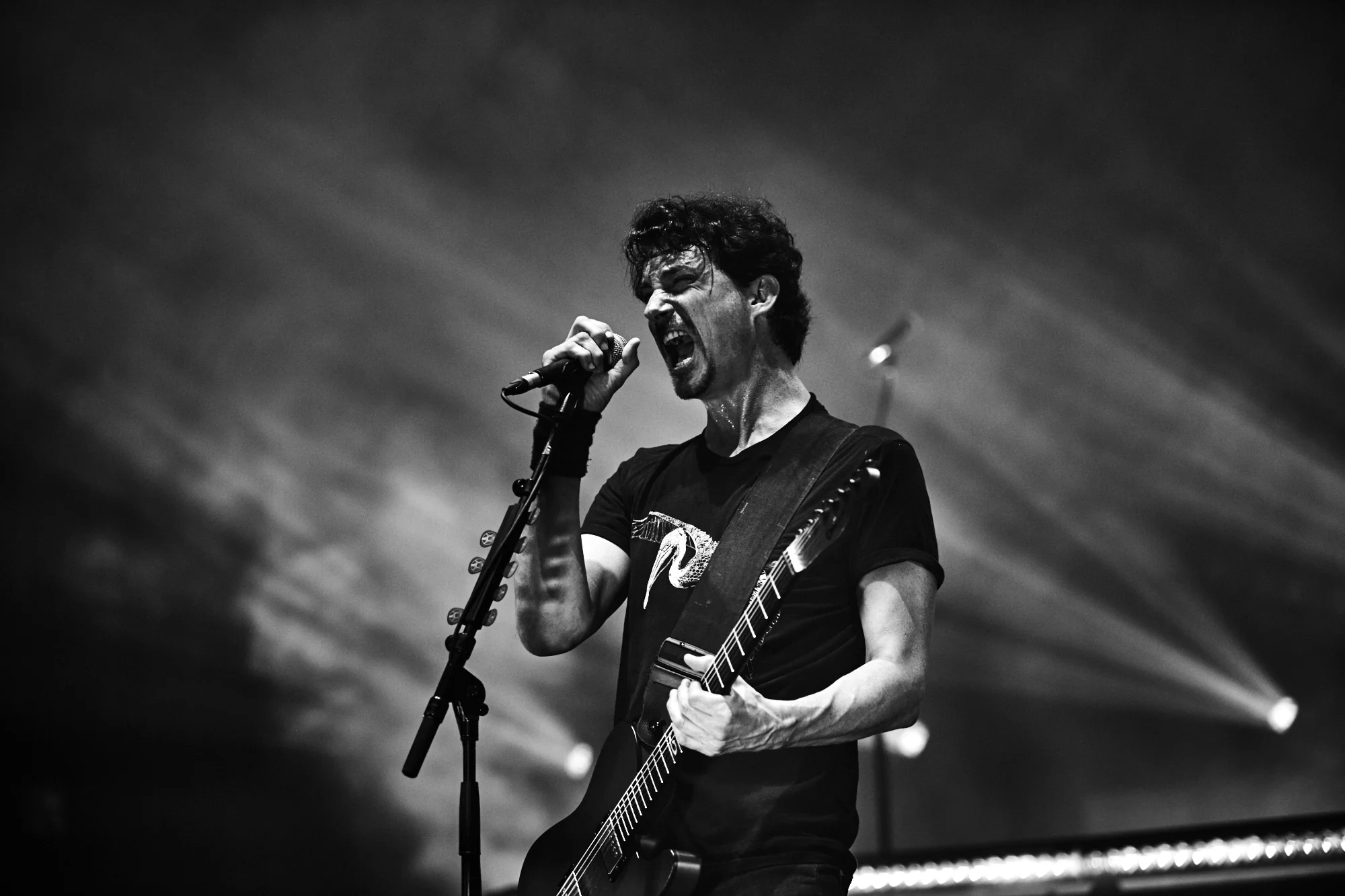 gojira-50.jpg