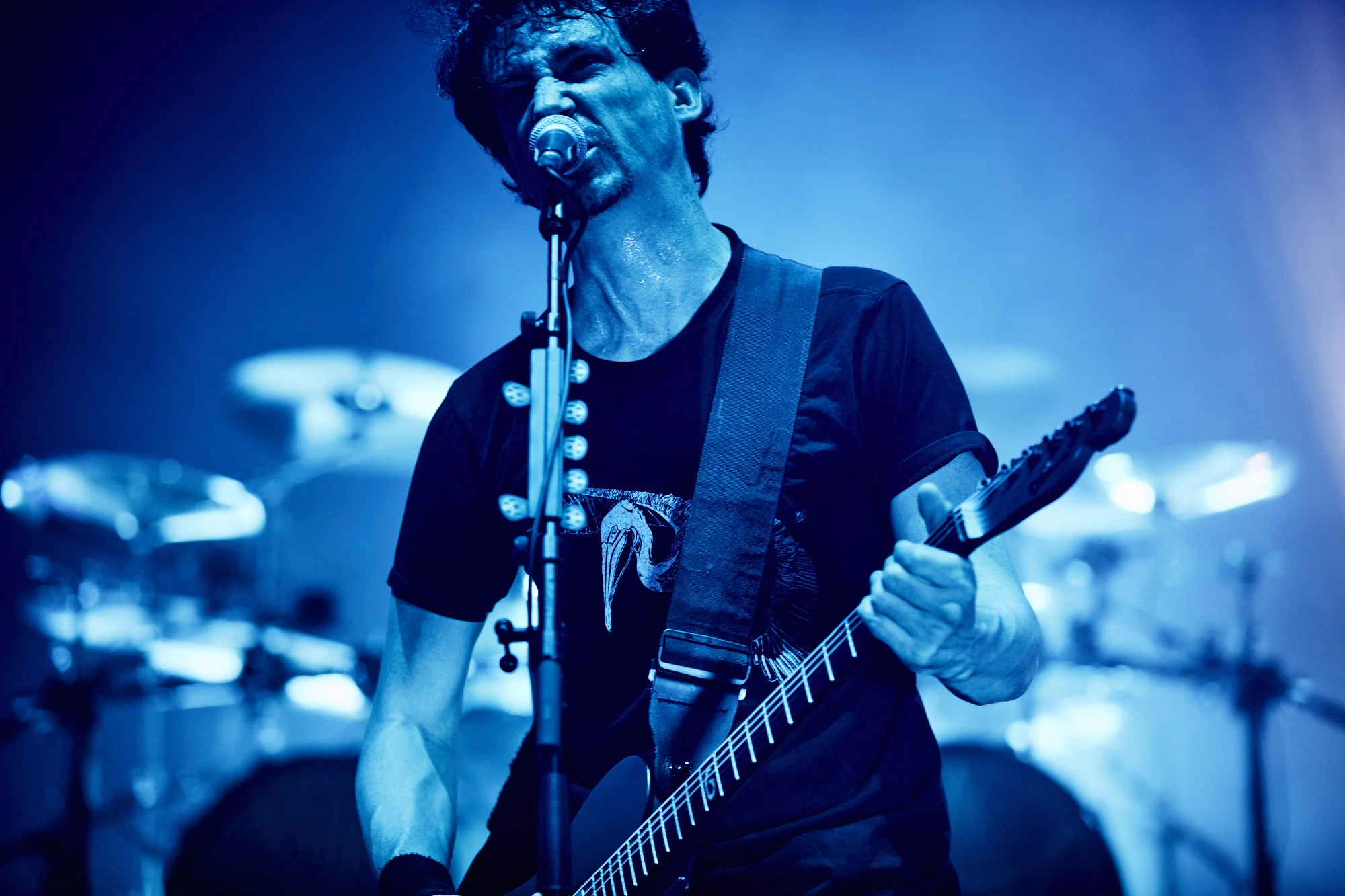 gojira-53.jpg