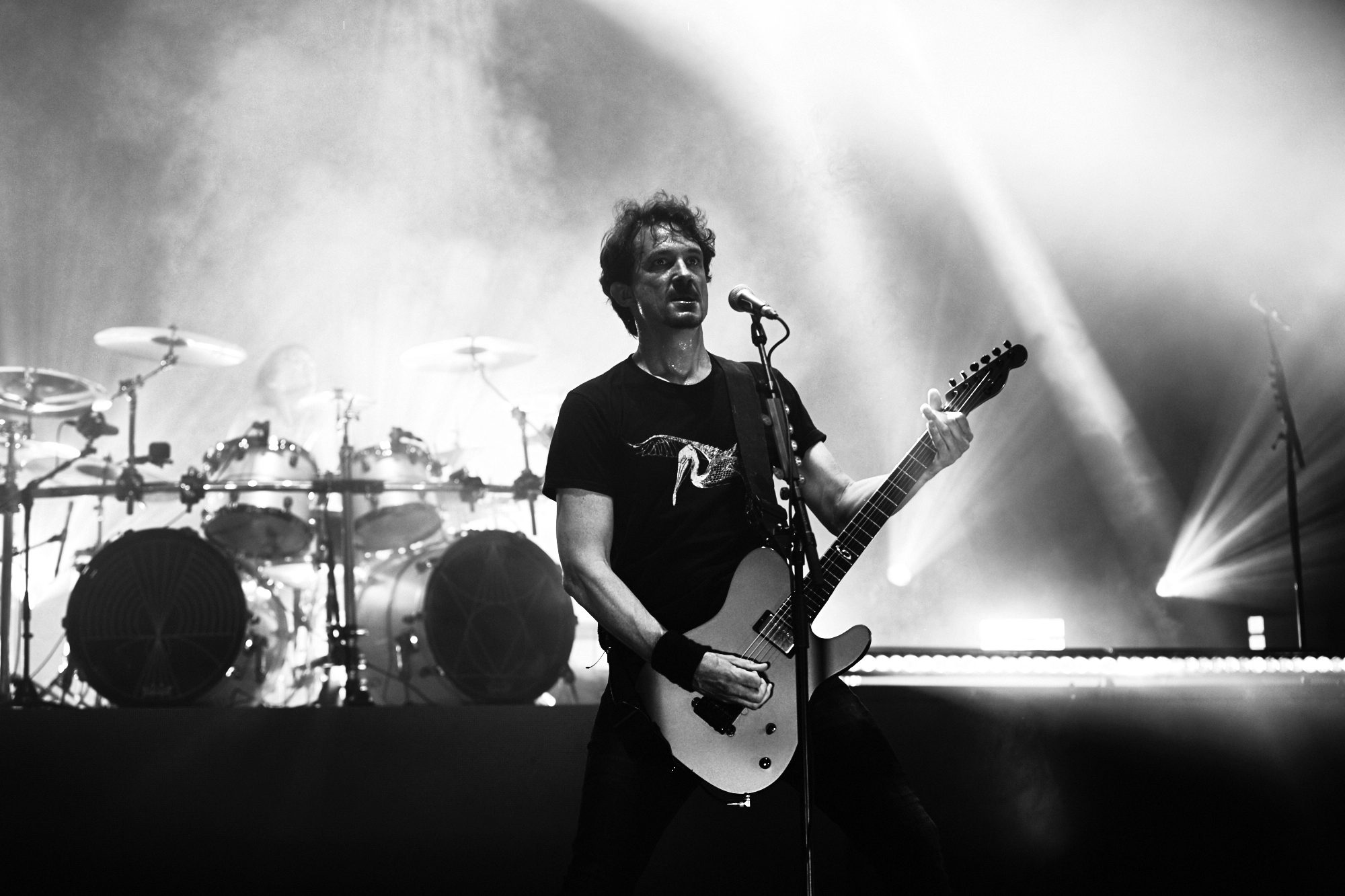 gojira-55.jpg