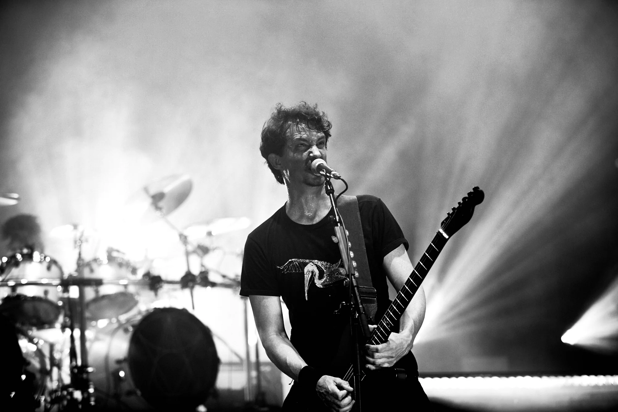 gojira-56.jpg