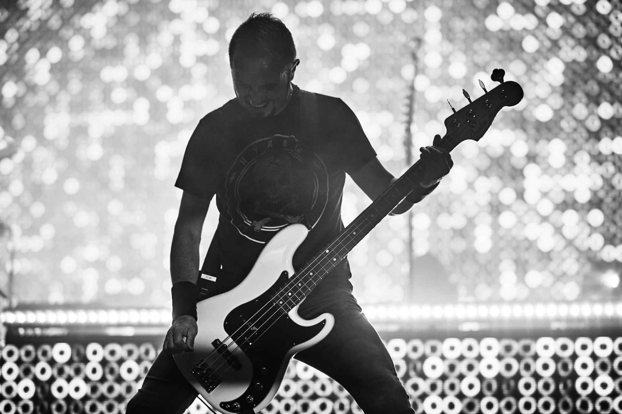 gojira-59.jpg