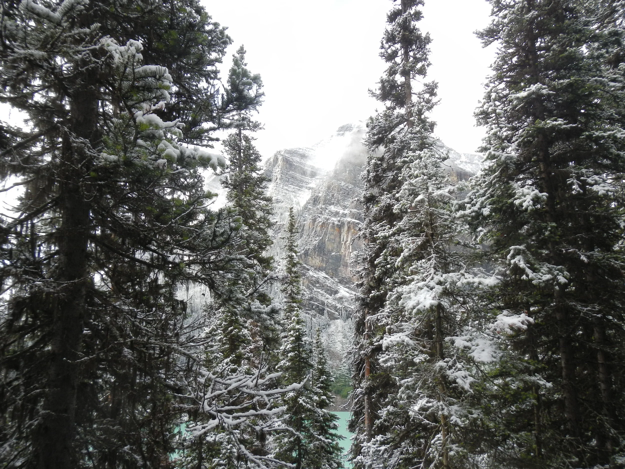 Lake Agnes Trail, Banff AB