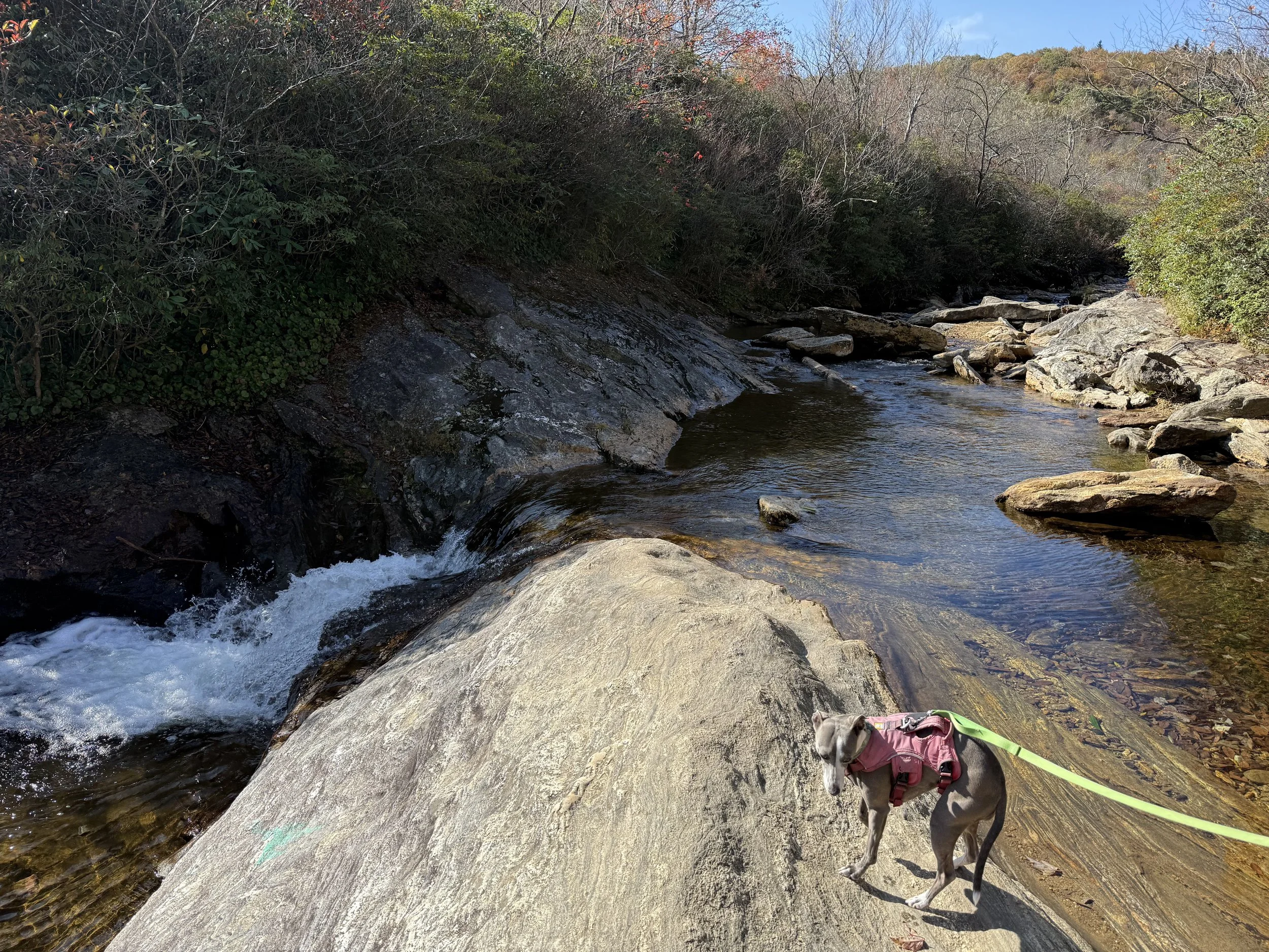 Graveyard Fields